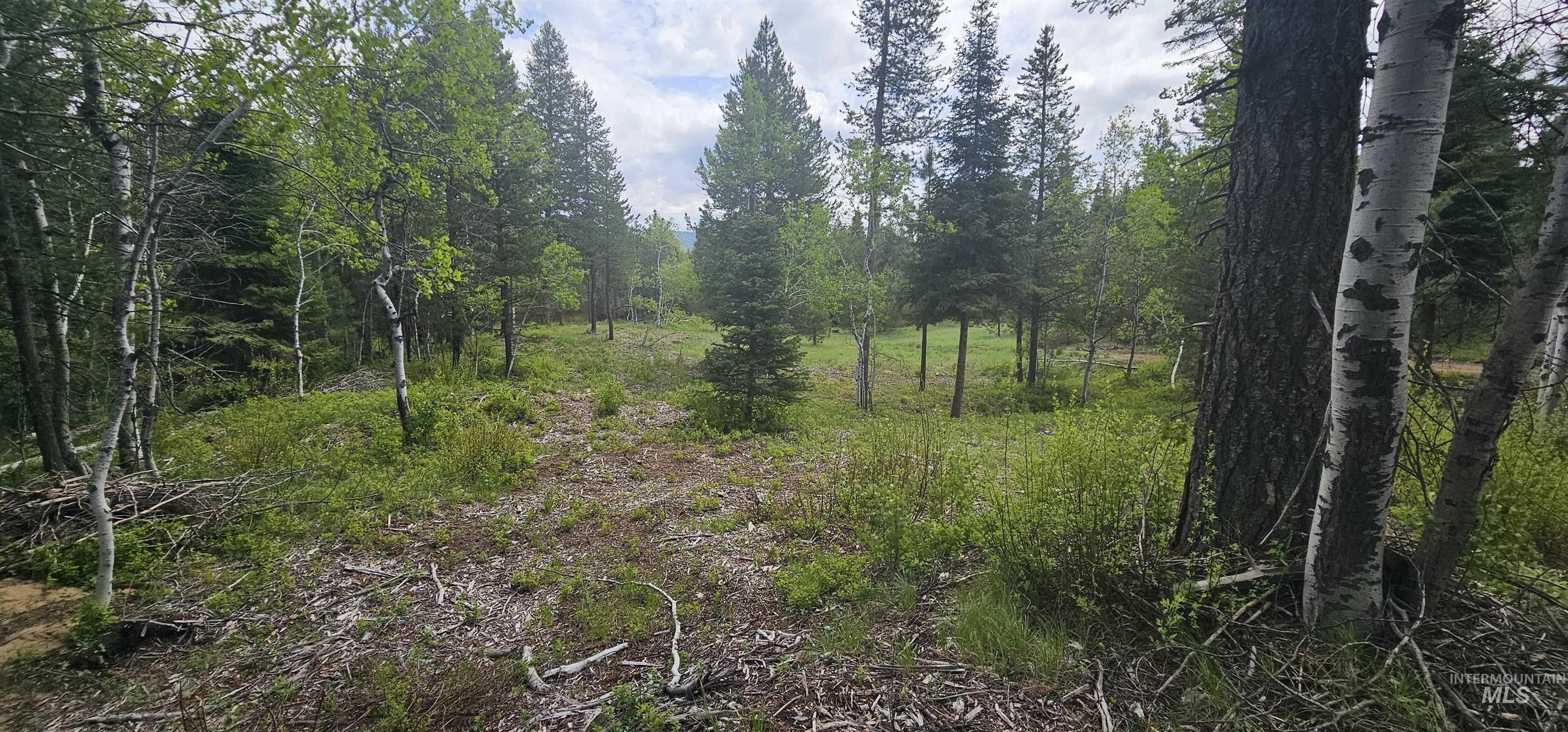 23 Sawtooth Loop, Cascade, Idaho 83611, Land For Sale, Price $299,900,MLS 98990017