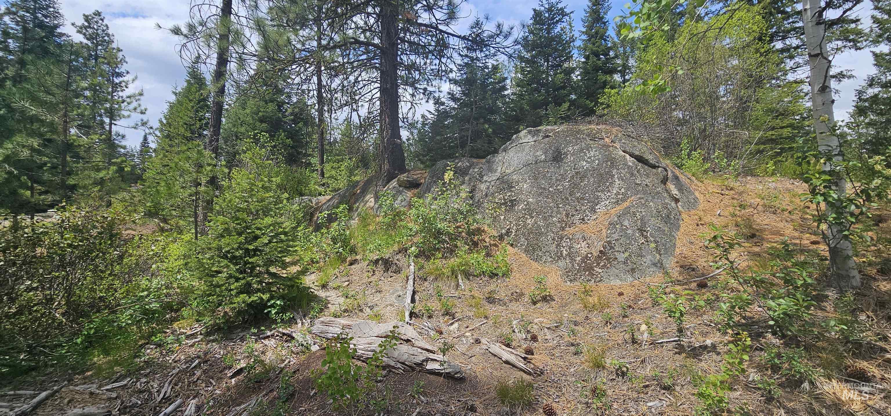 23 Sawtooth Loop, Cascade, Idaho 83611, Land For Sale, Price $299,900,MLS 98990017