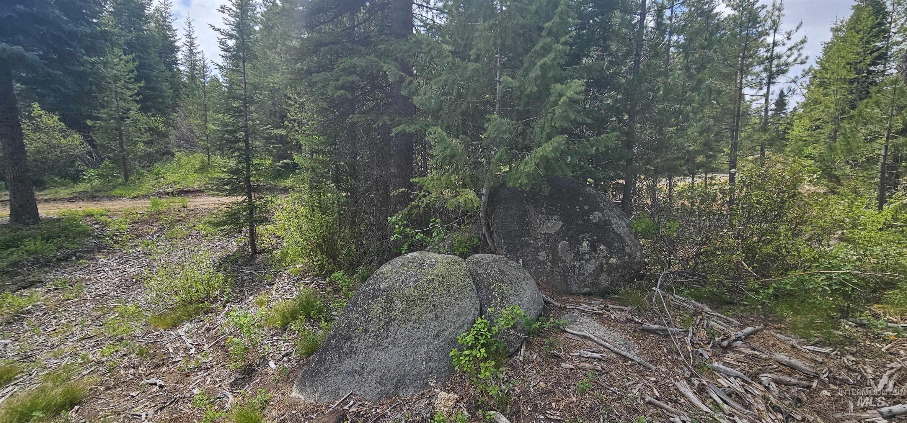 23 Sawtooth Loop, Cascade, Idaho 83611, Land For Sale, Price $299,900,MLS 98990017
