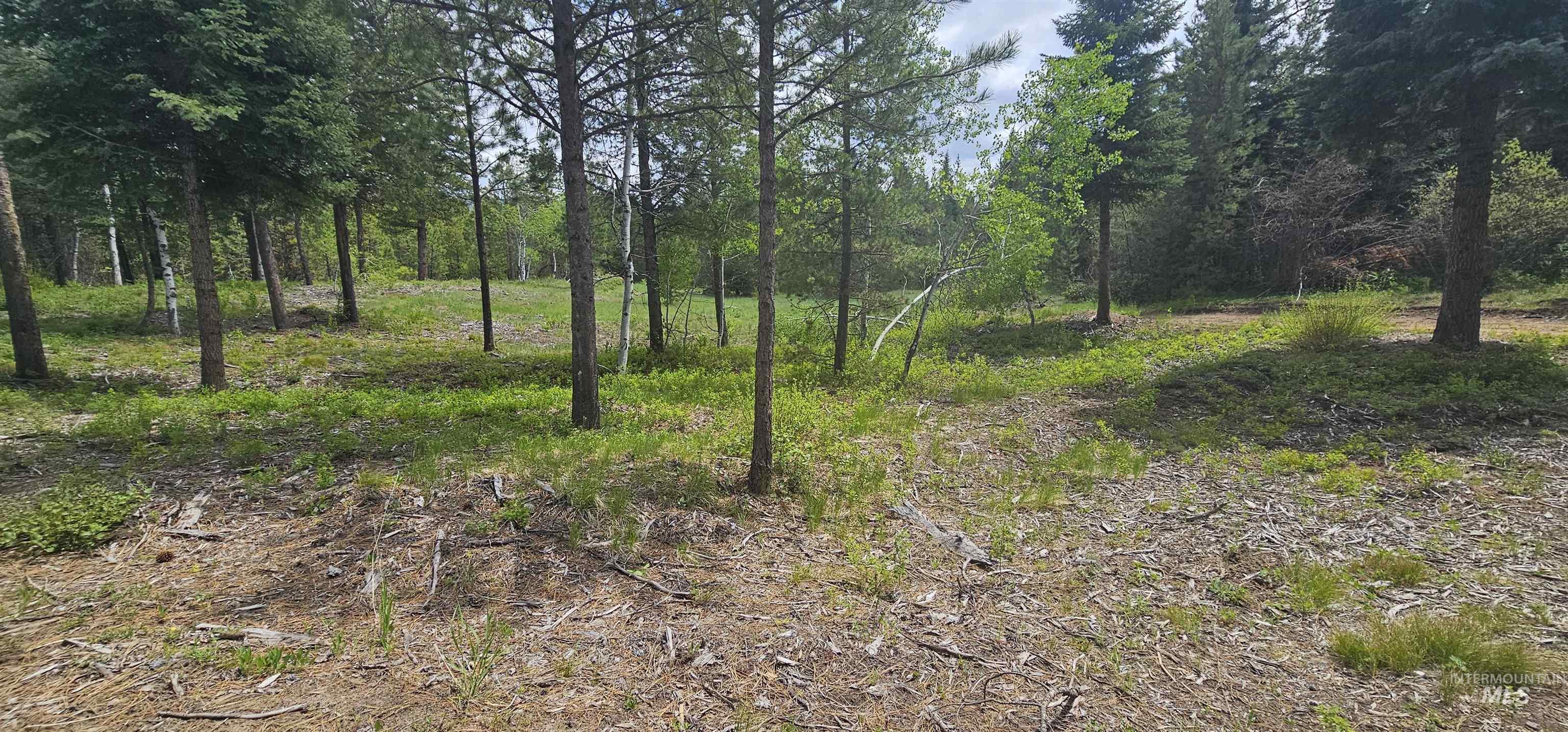 23 Sawtooth Loop, Cascade, Idaho 83611, Land For Sale, Price $299,900,MLS 98990017