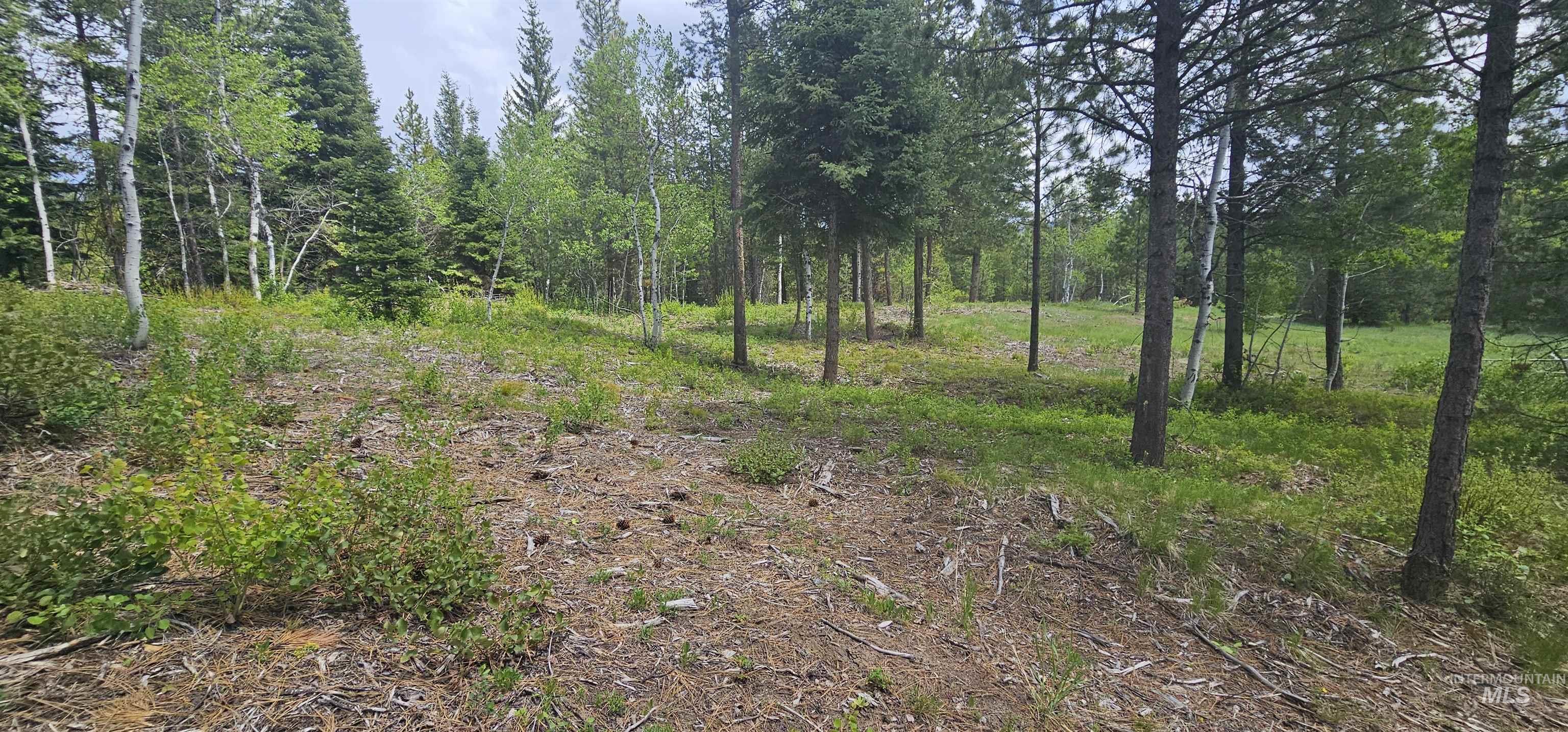 23 Sawtooth Loop, Cascade, Idaho 83611, Land For Sale, Price $299,900,MLS 98990017