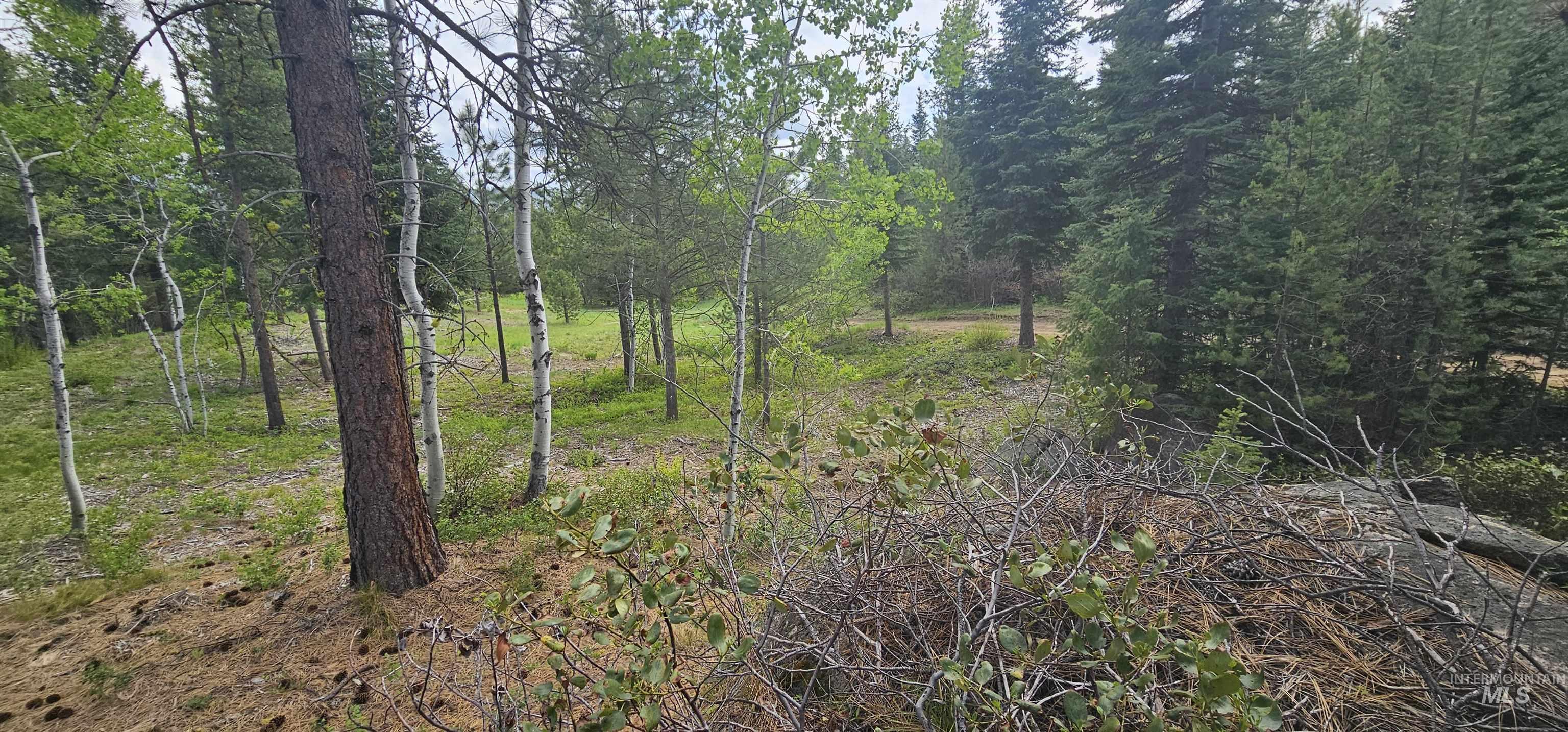23 Sawtooth Loop, Cascade, Idaho 83611, Land For Sale, Price $299,900,MLS 98990017