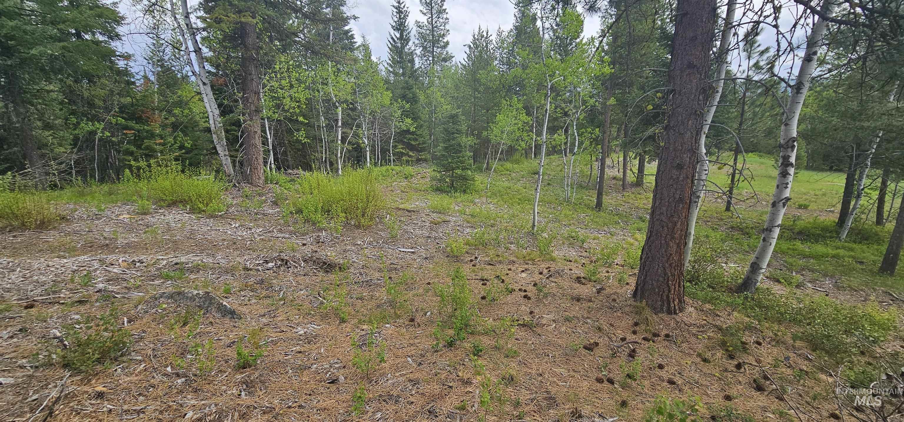 23 Sawtooth Loop, Cascade, Idaho 83611, Land For Sale, Price $299,900,MLS 98990017