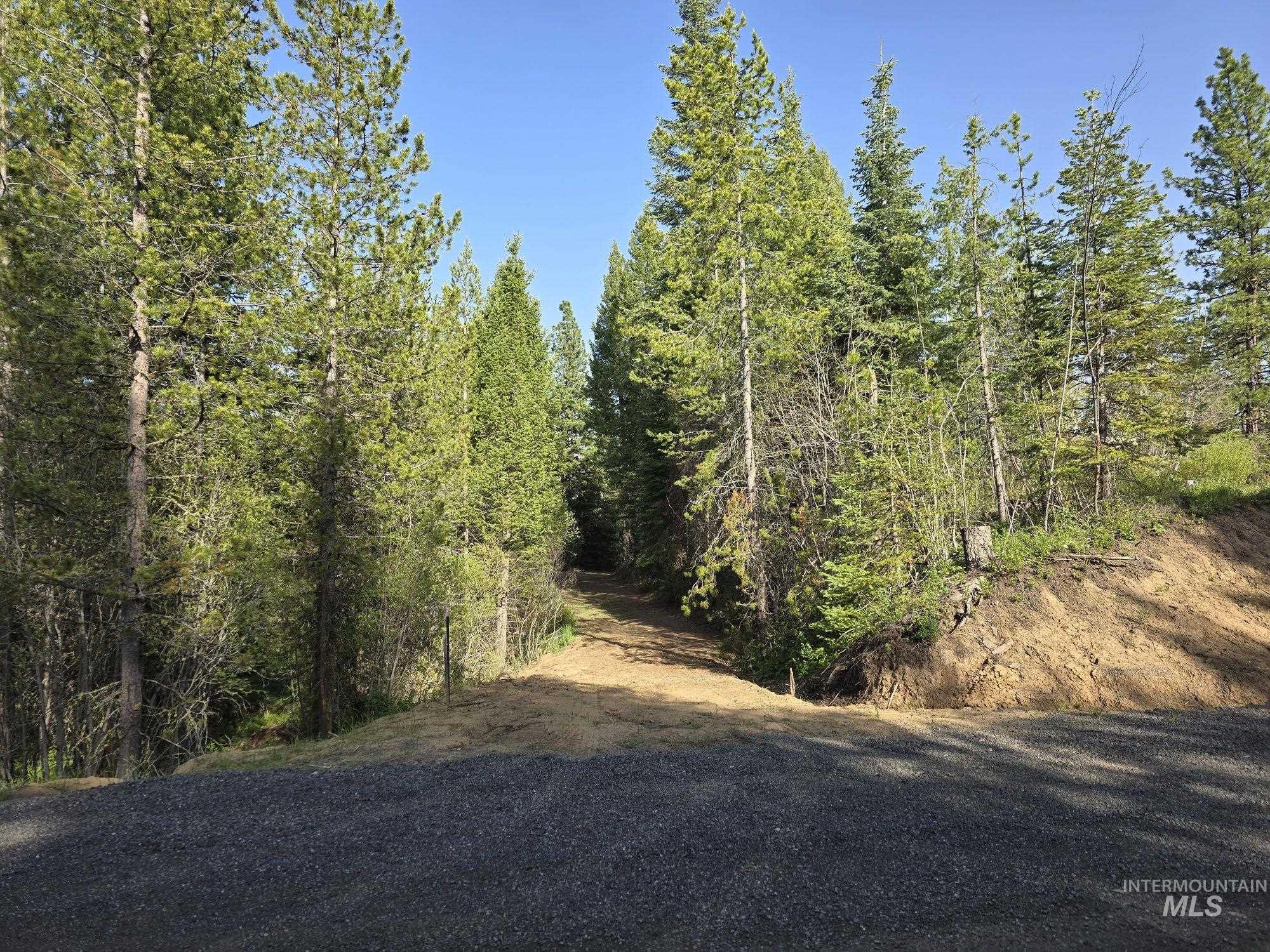 23 Sawtooth Loop, Cascade, Idaho 83611, Land For Sale, Price $299,900,MLS 98990017