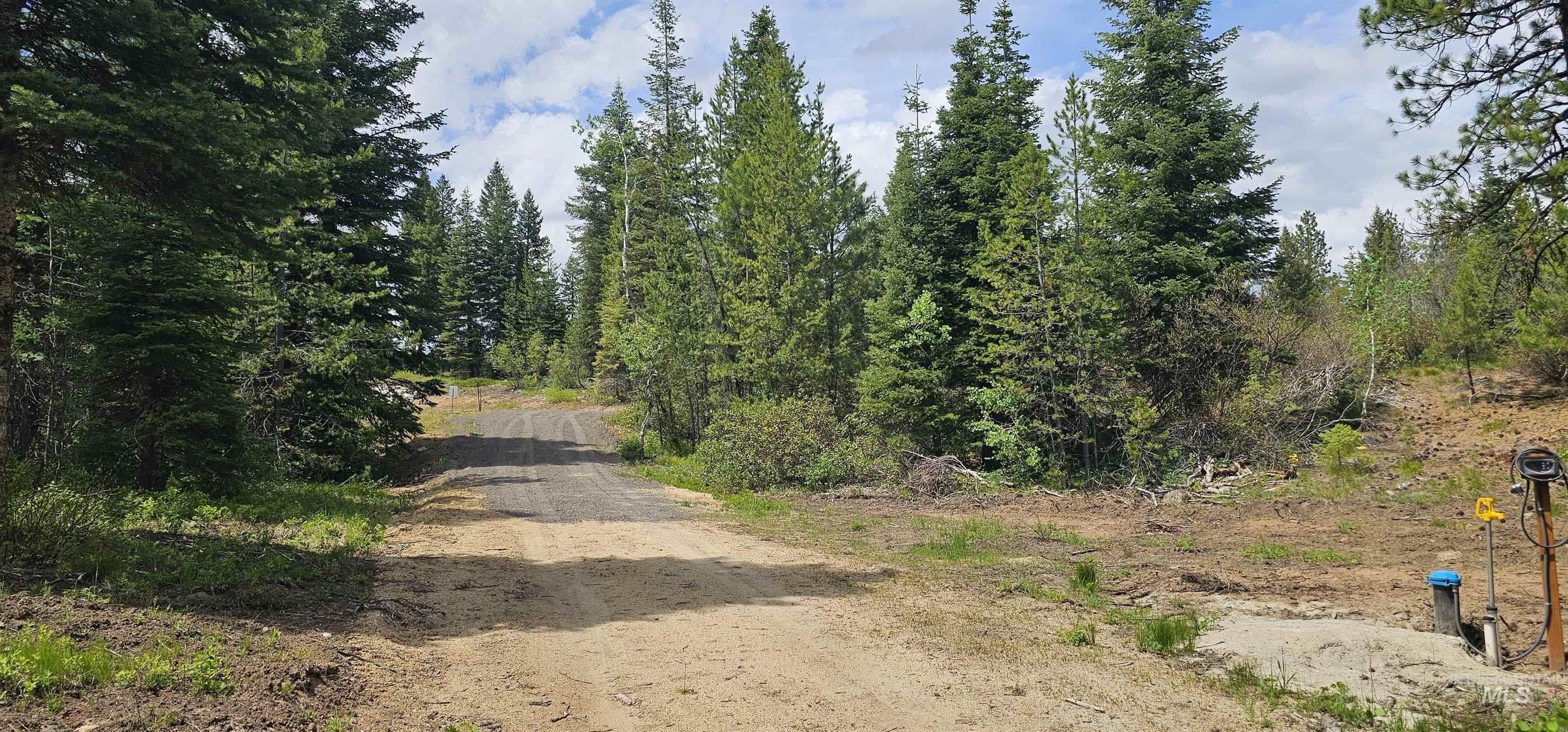 23 Sawtooth Loop, Cascade, Idaho 83611, Land For Sale, Price $299,900,MLS 98990017