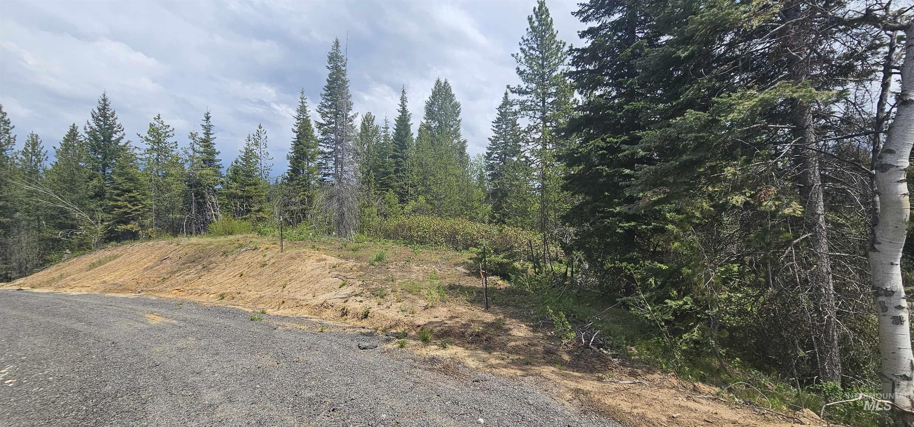 23 Sawtooth Loop, Cascade, Idaho 83611, Land For Sale, Price $299,900,MLS 98990017