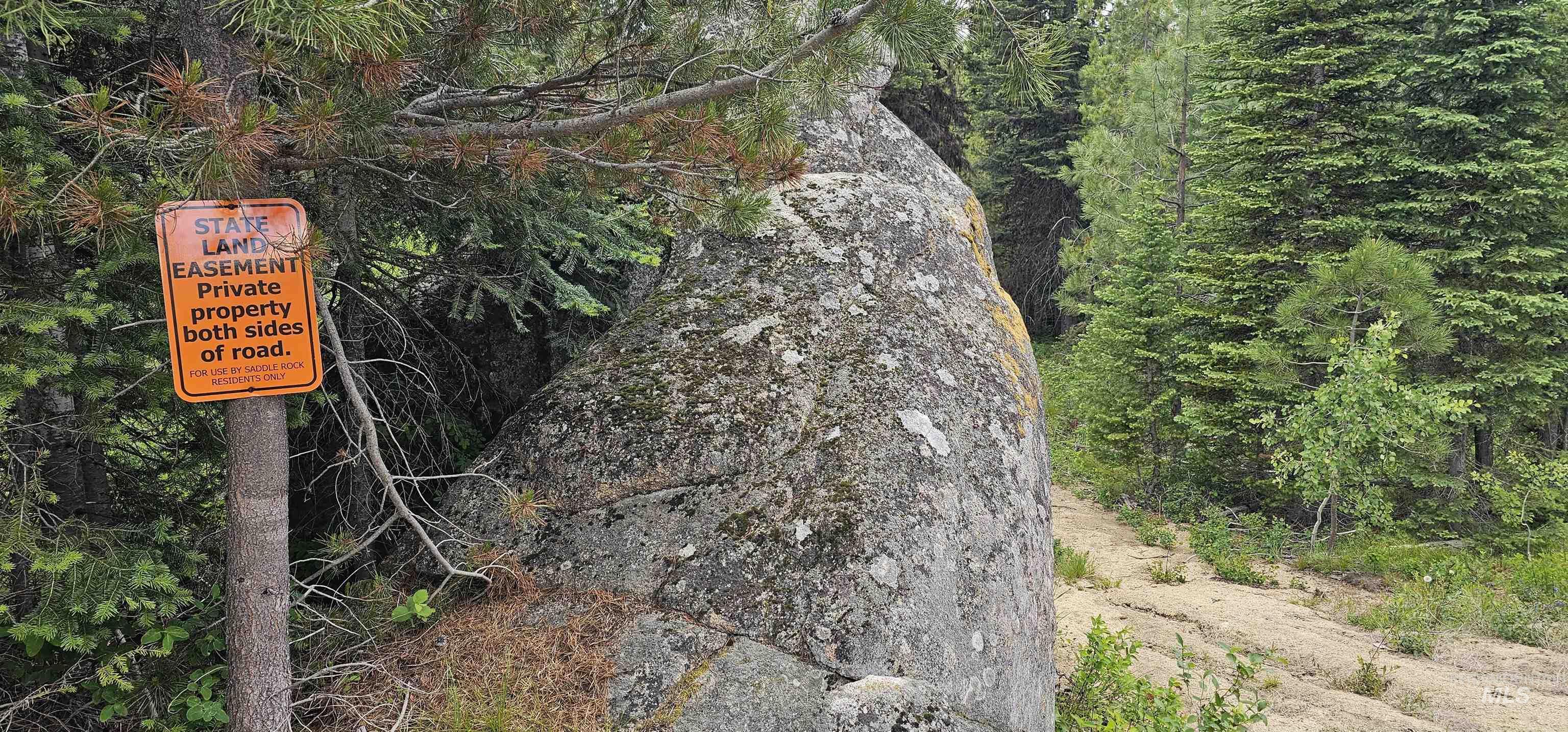 23 Sawtooth Loop, Cascade, Idaho 83611, Land For Sale, Price $299,900,MLS 98990017