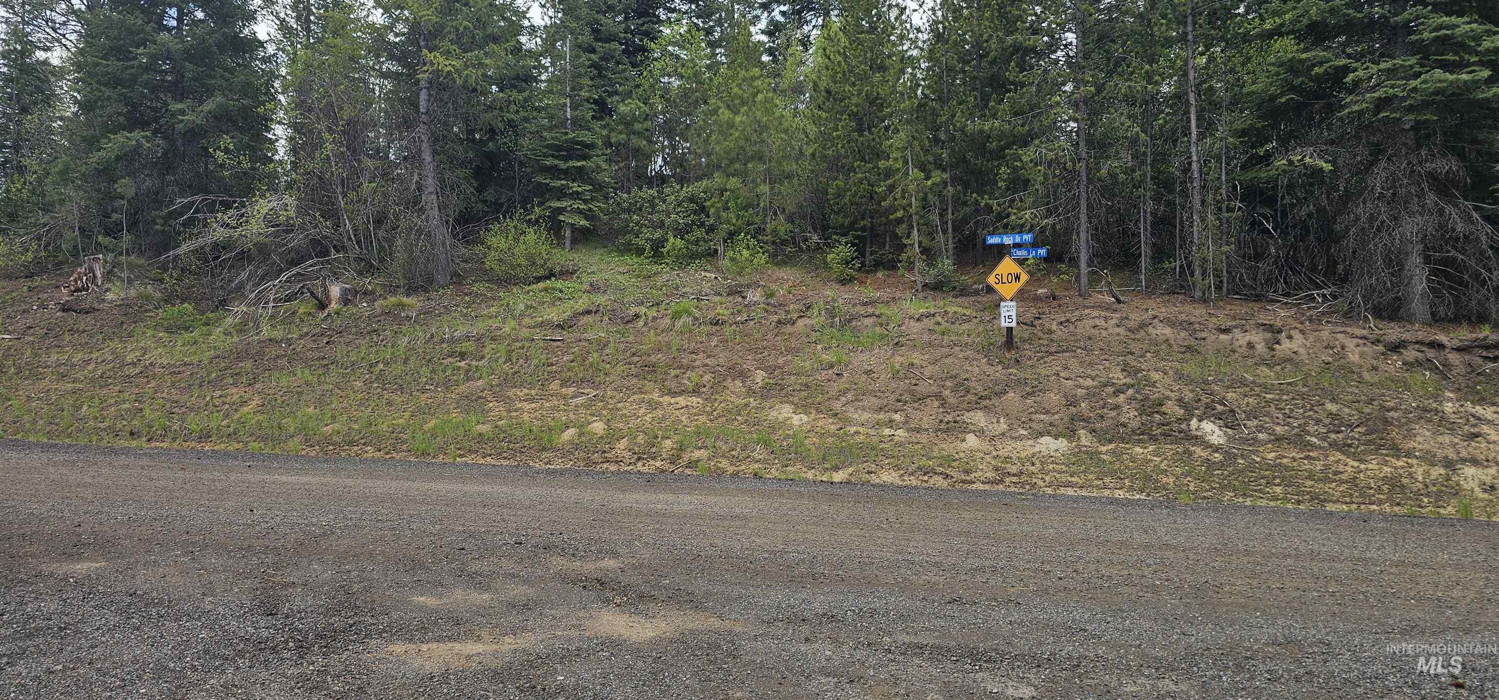 23 Sawtooth Loop, Cascade, Idaho 83611, Land For Sale, Price $299,900,MLS 98990017