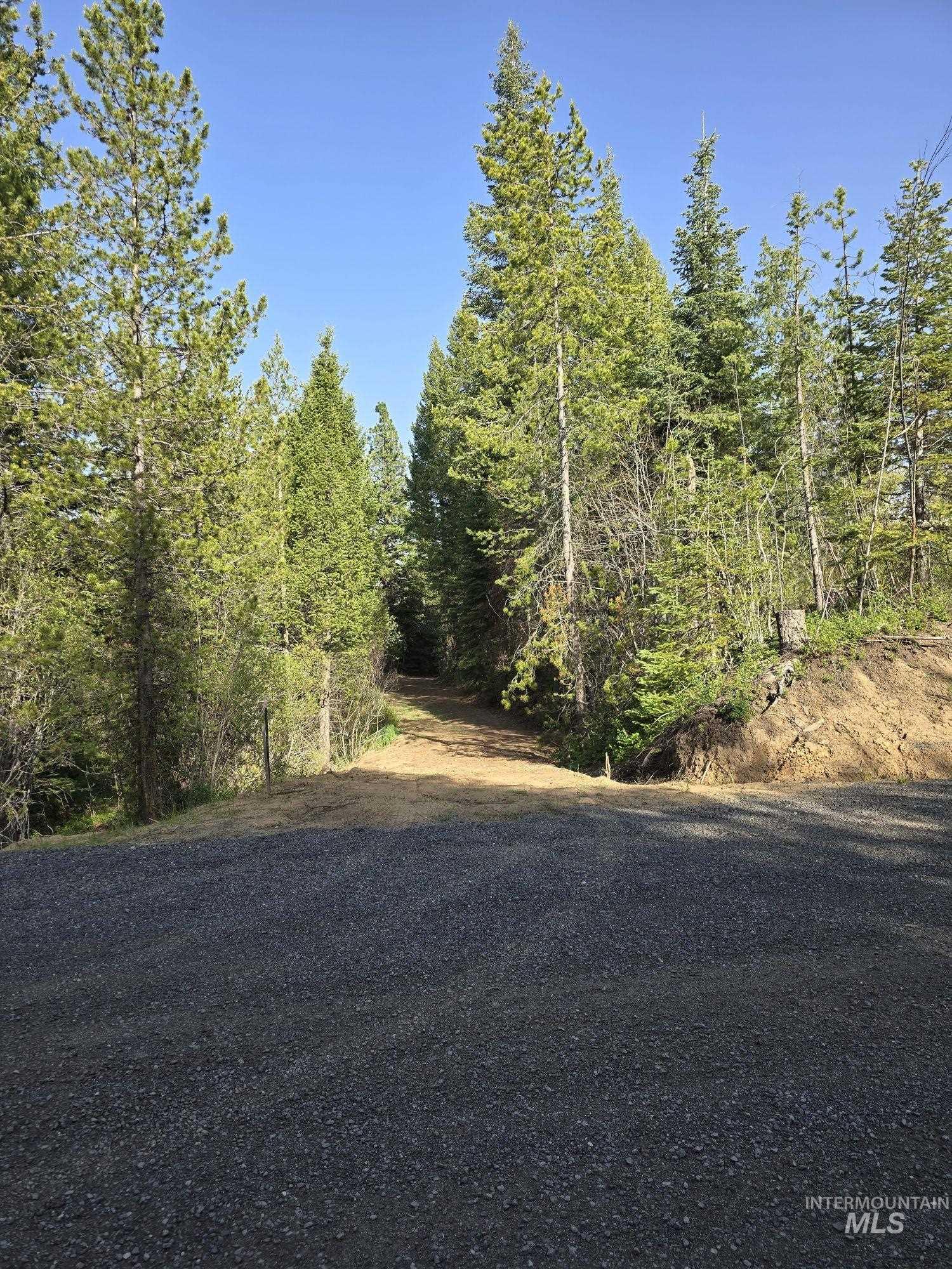 23 Sawtooth Loop, Cascade, Idaho 83611, Land For Sale, Price $299,900,MLS 98990017