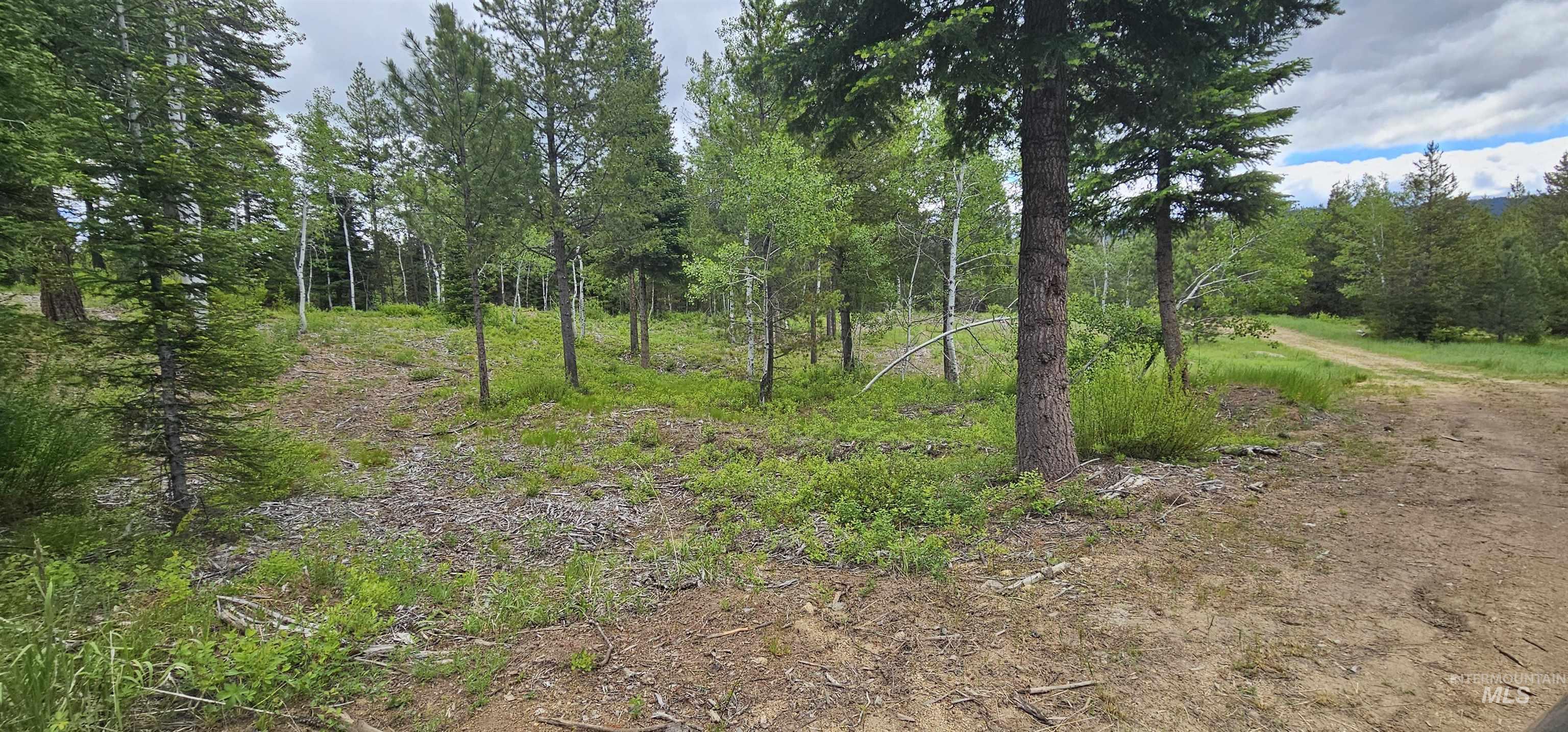 23 Sawtooth Loop, Cascade, Idaho 83611, Land For Sale, Price $299,900,MLS 98990017