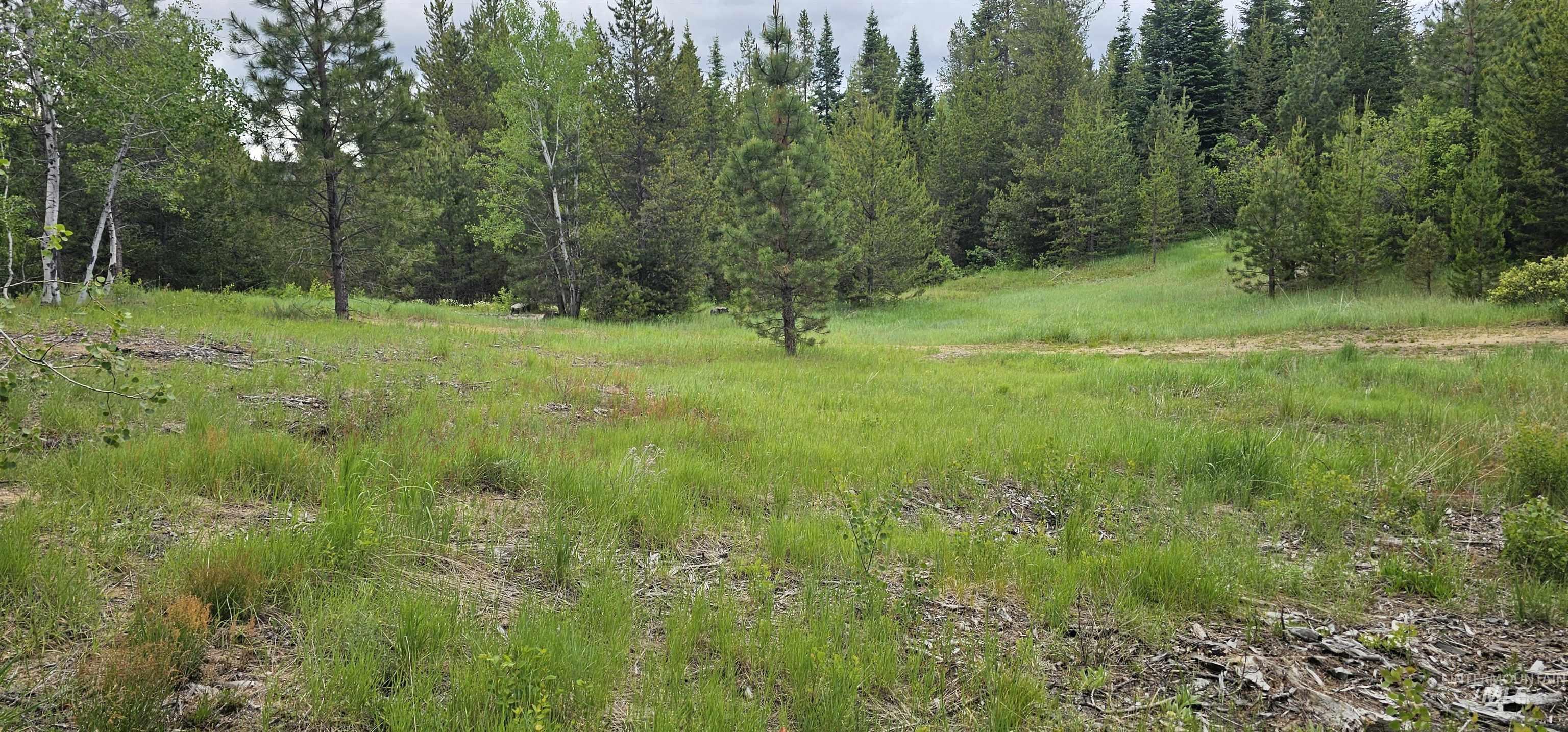 23 Sawtooth Loop, Cascade, Idaho 83611, Land For Sale, Price $299,900,MLS 98990017