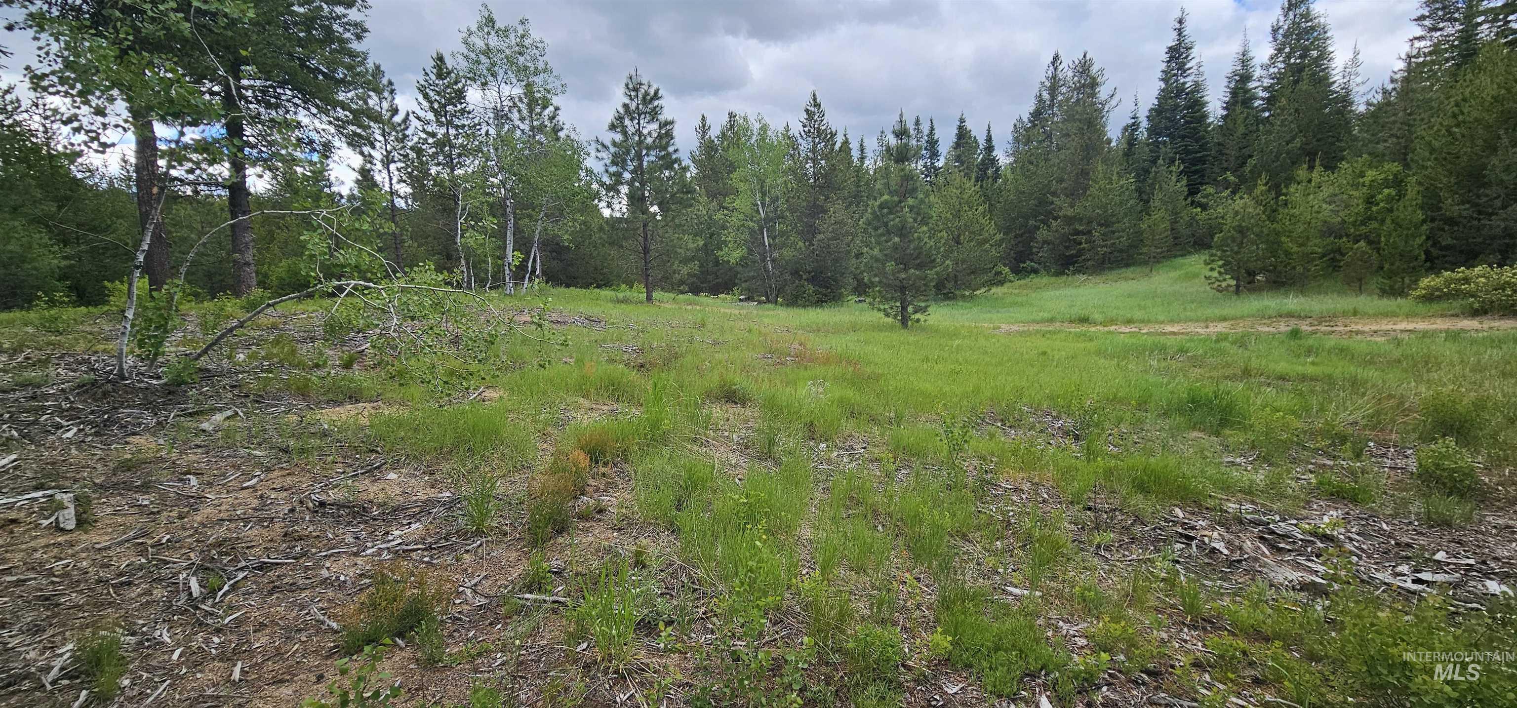 23 Sawtooth Loop, Cascade, Idaho 83611, Land For Sale, Price $299,900,MLS 98990017