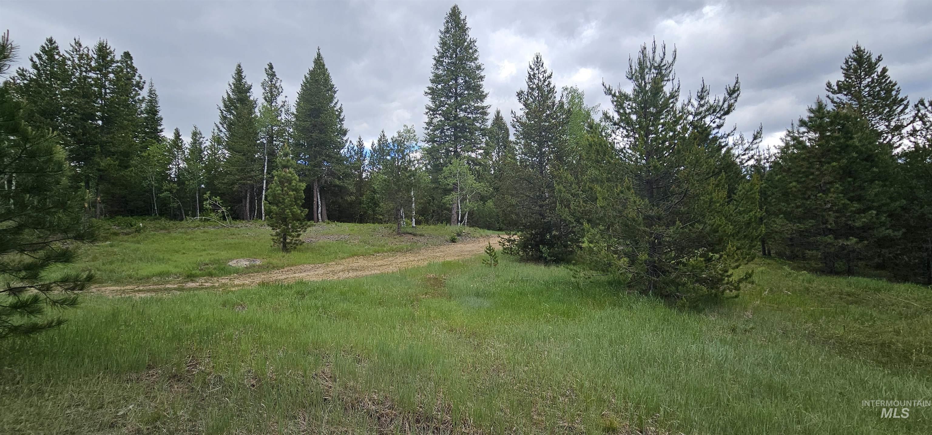 23 Sawtooth Loop, Cascade, Idaho 83611, Land For Sale, Price $299,900,MLS 98990017