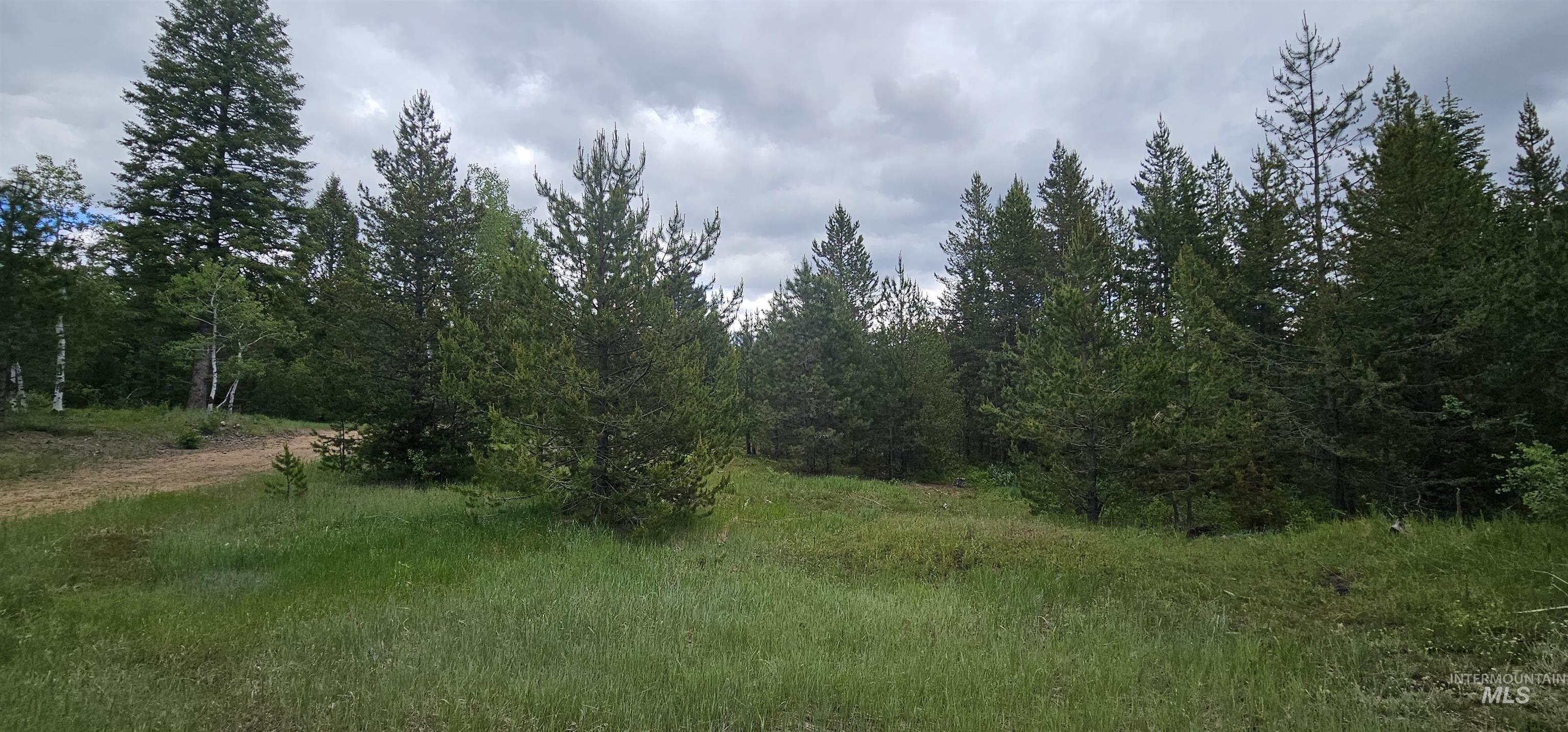 23 Sawtooth Loop, Cascade, Idaho 83611, Land For Sale, Price $299,900,MLS 98990017