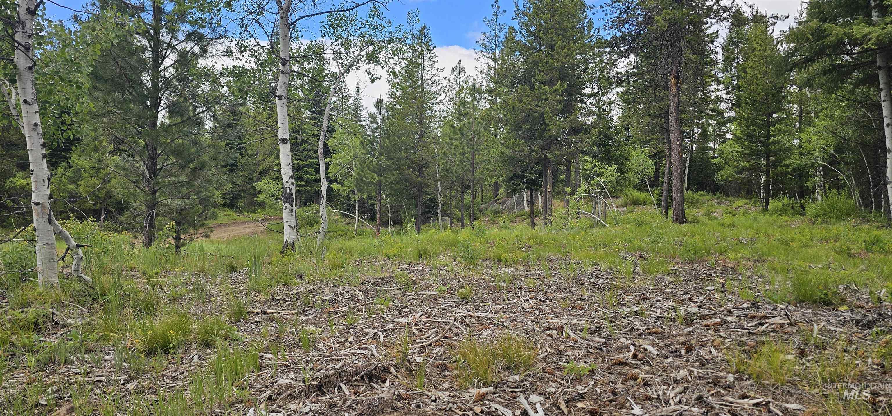23 Sawtooth Loop, Cascade, Idaho 83611, Land For Sale, Price $299,900,MLS 98990017
