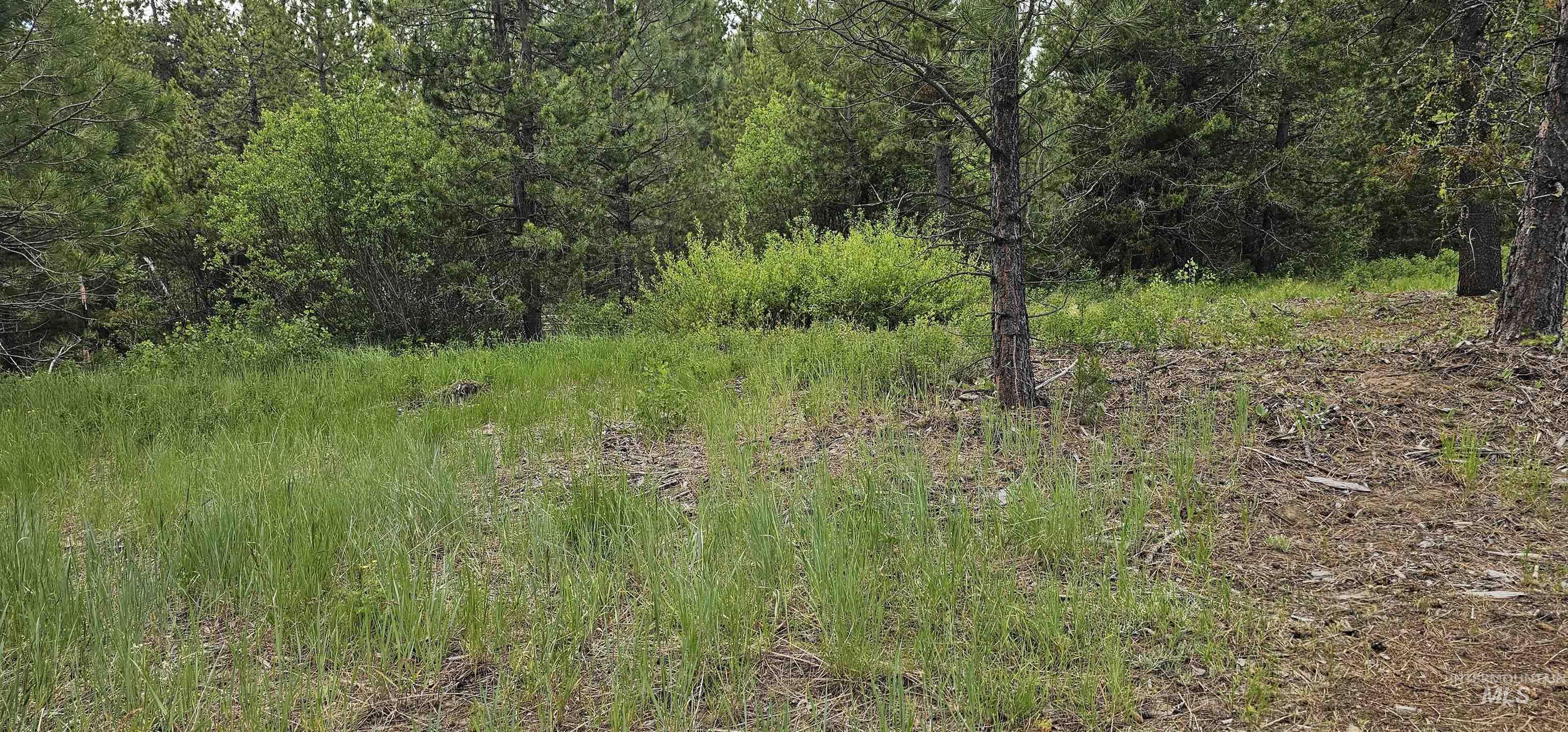23 Sawtooth Loop, Cascade, Idaho 83611, Land For Sale, Price $299,900,MLS 98990017