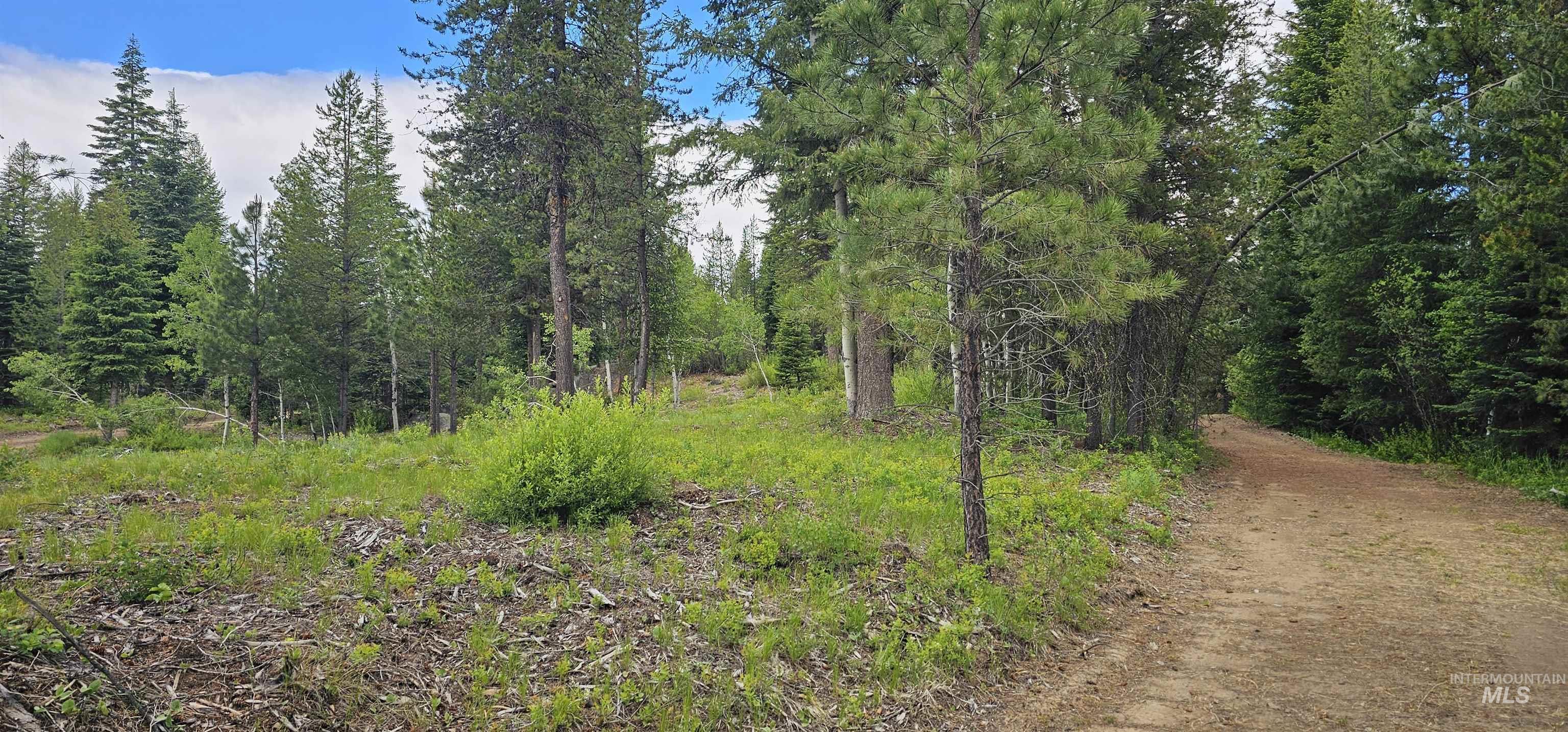 23 Sawtooth Loop, Cascade, Idaho 83611, Land For Sale, Price $299,900,MLS 98990017