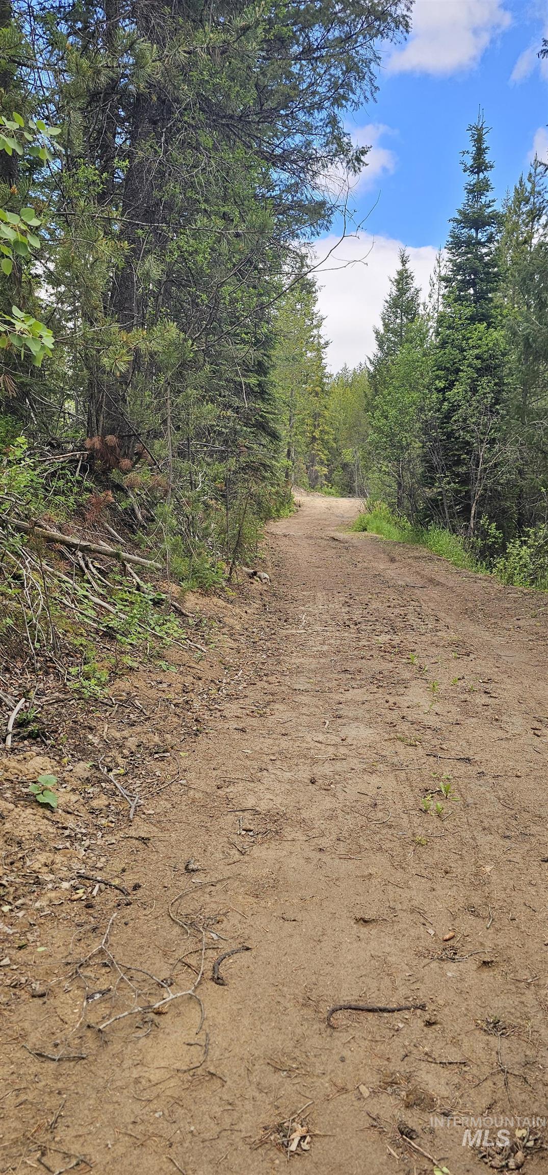 23 Sawtooth Loop, Cascade, Idaho 83611, Land For Sale, Price $299,900,MLS 98990017