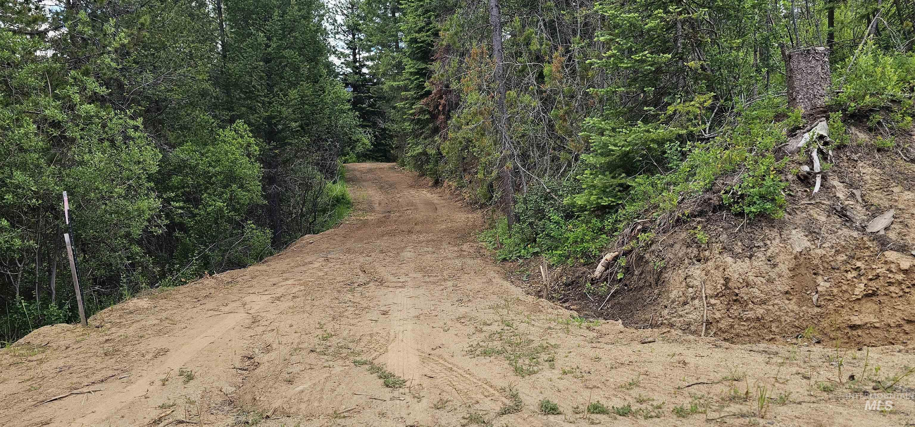 23 Sawtooth Loop, Cascade, Idaho 83611, Land For Sale, Price $299,900,MLS 98990017