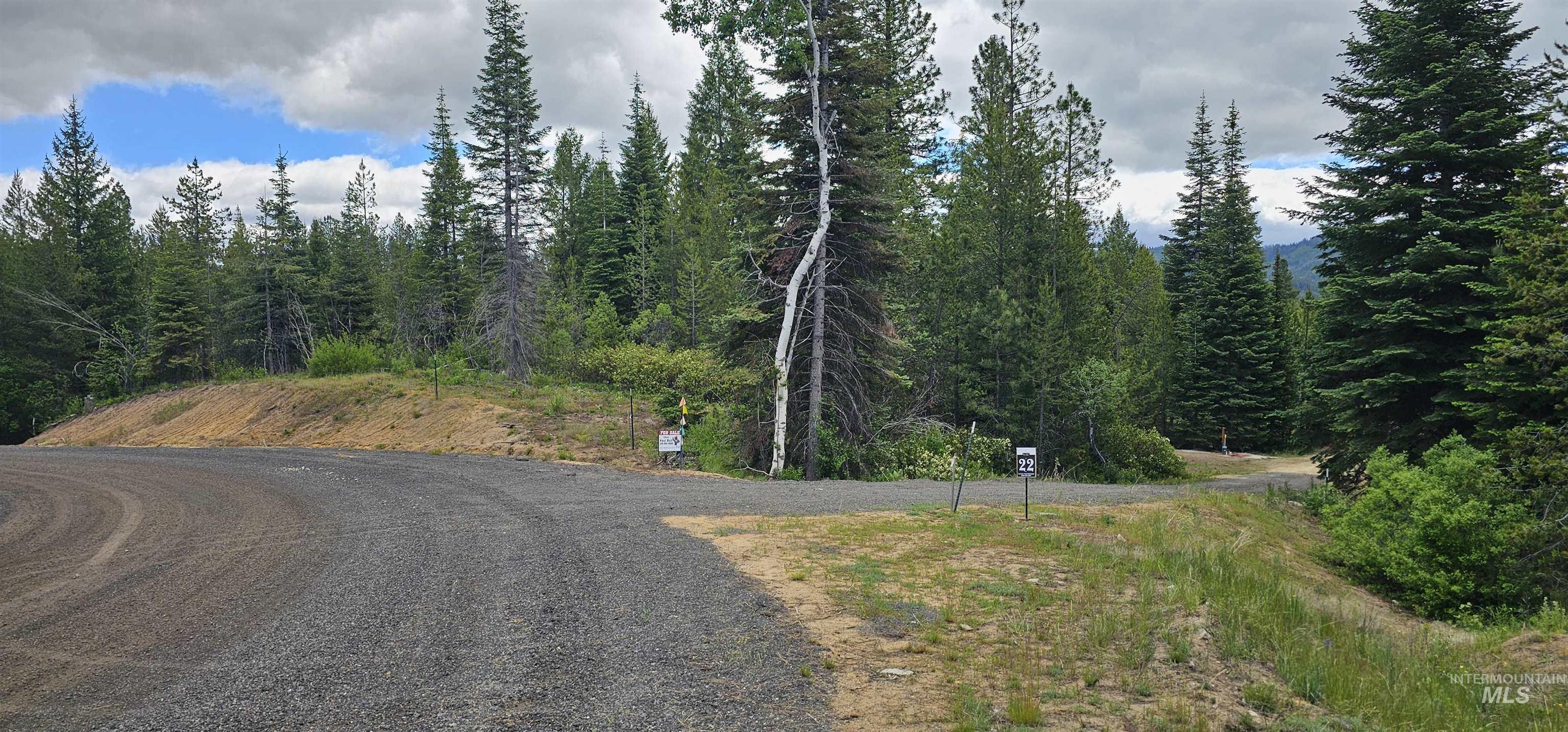 23 Sawtooth Loop, Cascade, Idaho 83611, Land For Sale, Price $299,900,MLS 98990017