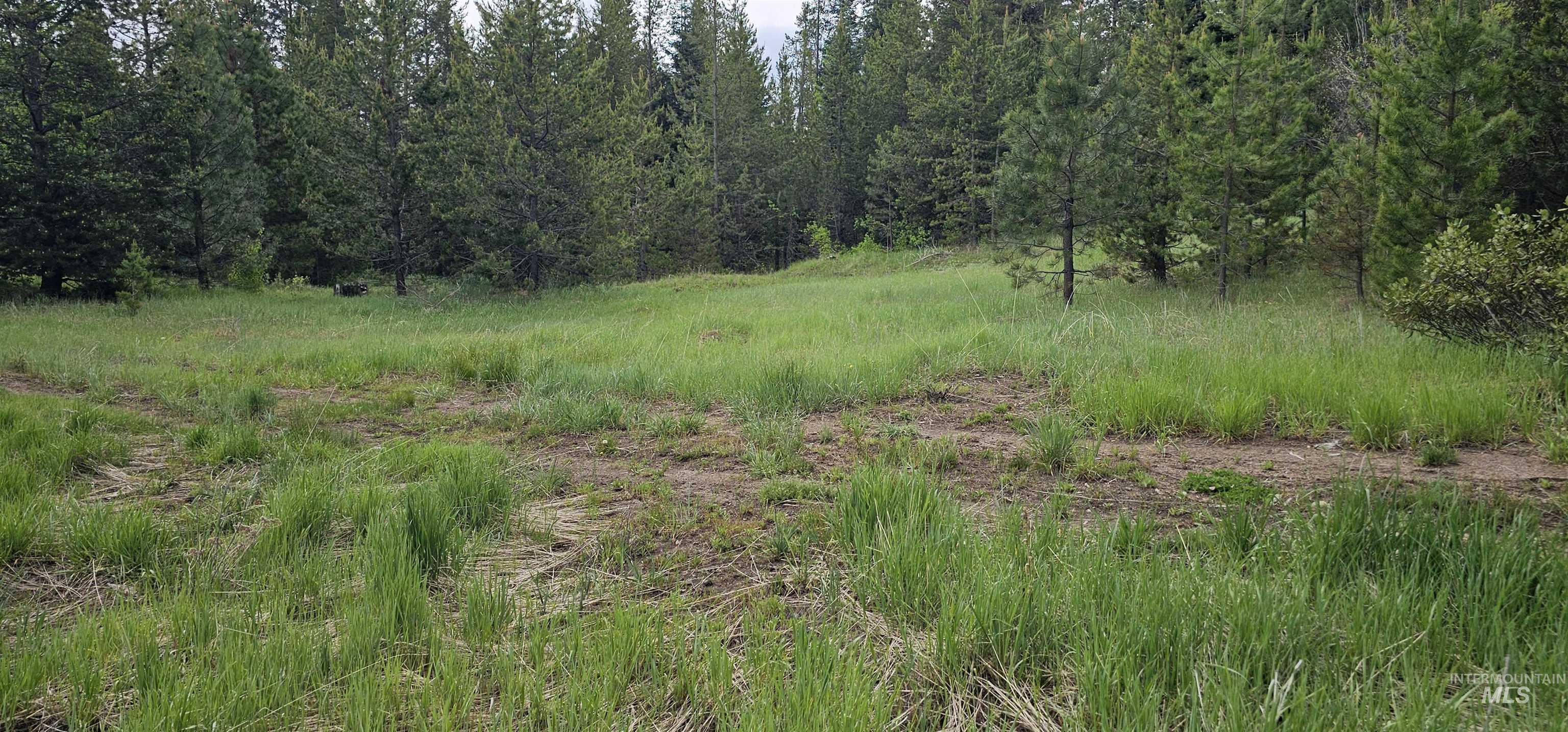 23 Sawtooth Loop, Cascade, Idaho 83611, Land For Sale, Price $299,900,MLS 98990017