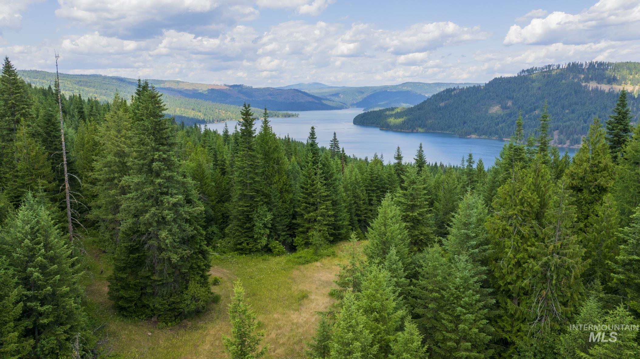 7362 S Dicks Creek Rd, Kendrick, Idaho 83537, Land For Sale, Price $289,900,MLS 98990019