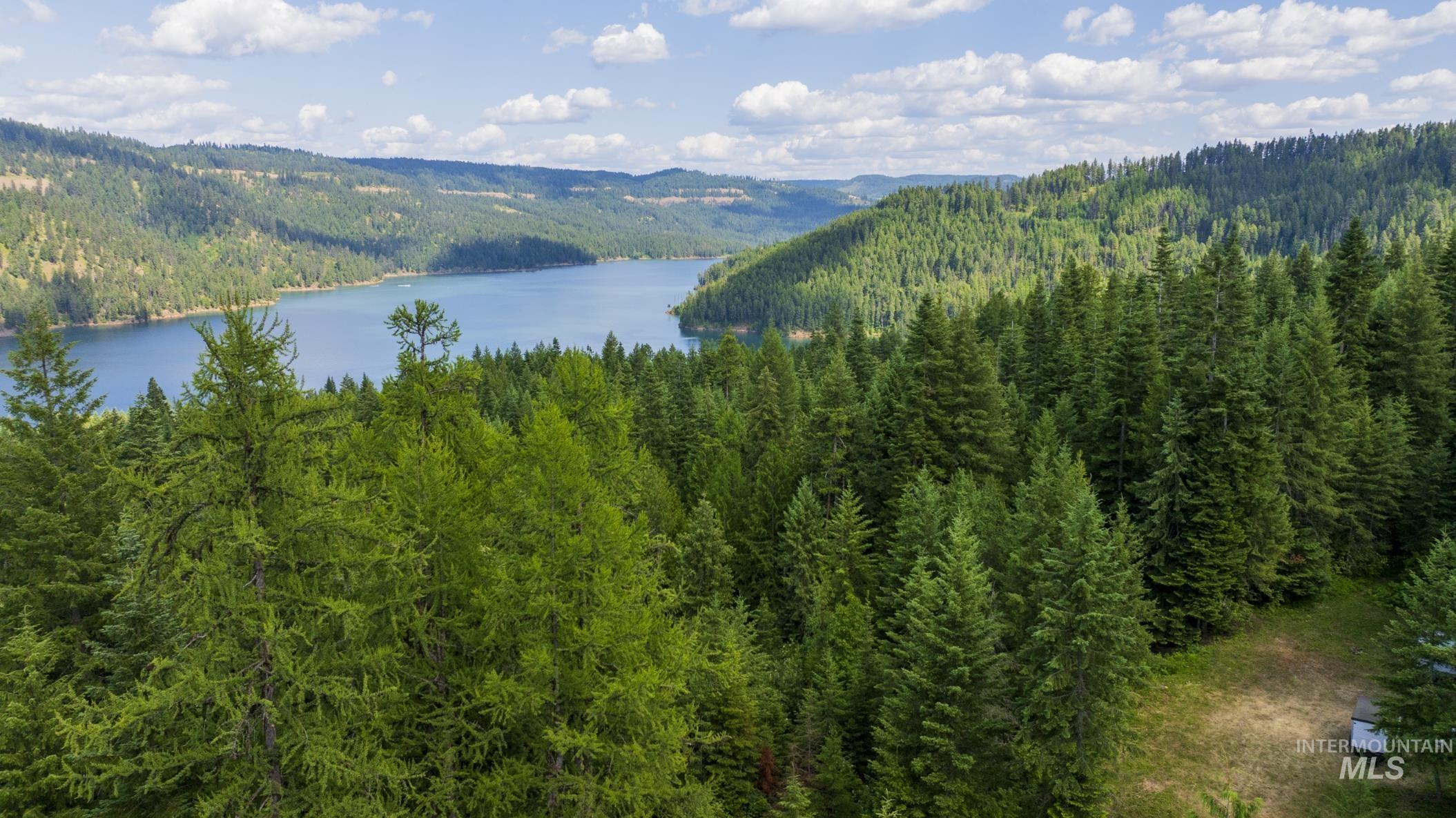 7362 S Dicks Creek Rd, Kendrick, Idaho 83537, Land For Sale, Price $289,900,MLS 98990019
