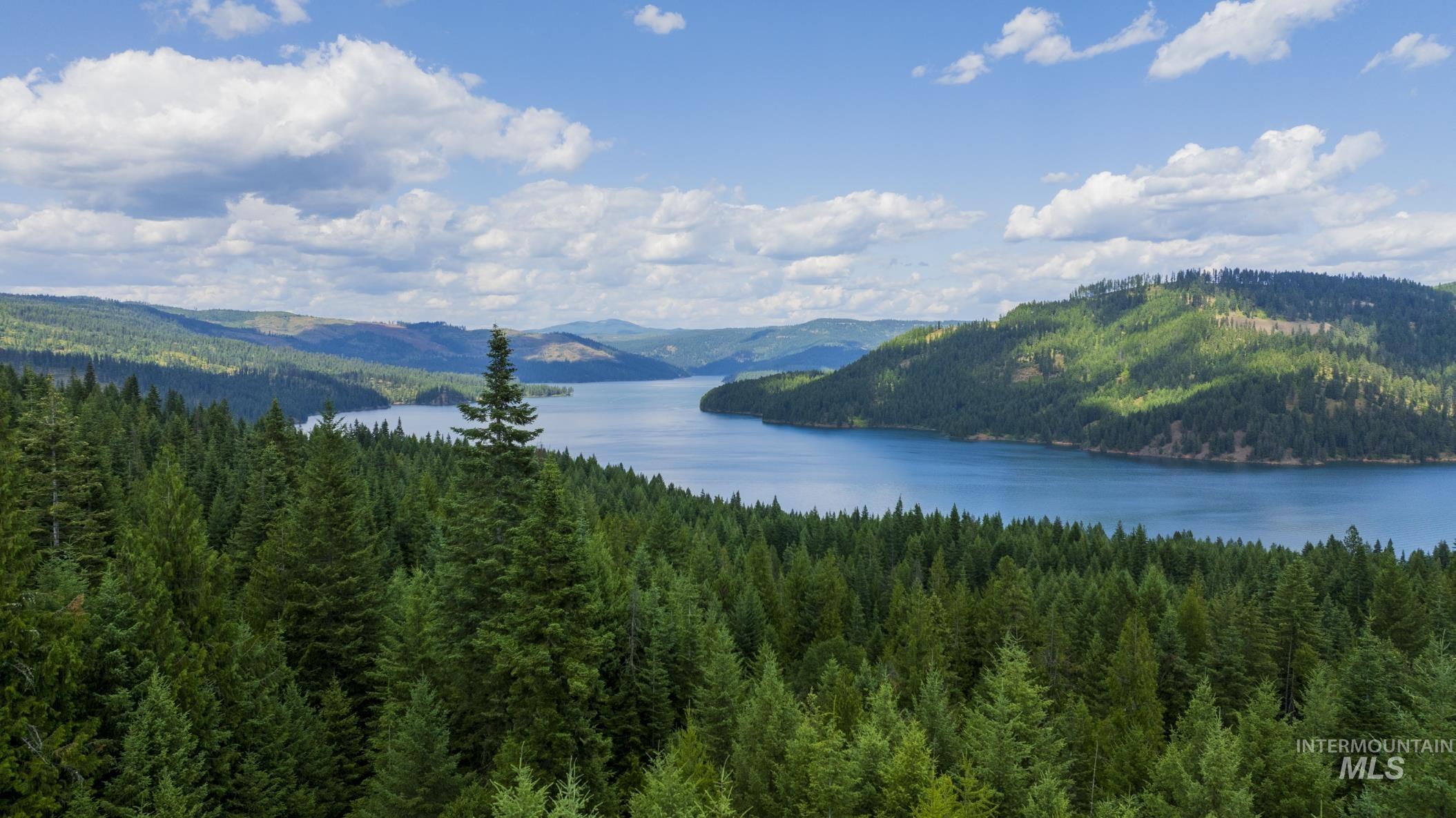 7362 S Dicks Creek Rd, Kendrick, Idaho 83537, Land For Sale, Price $289,900,MLS 98990019
