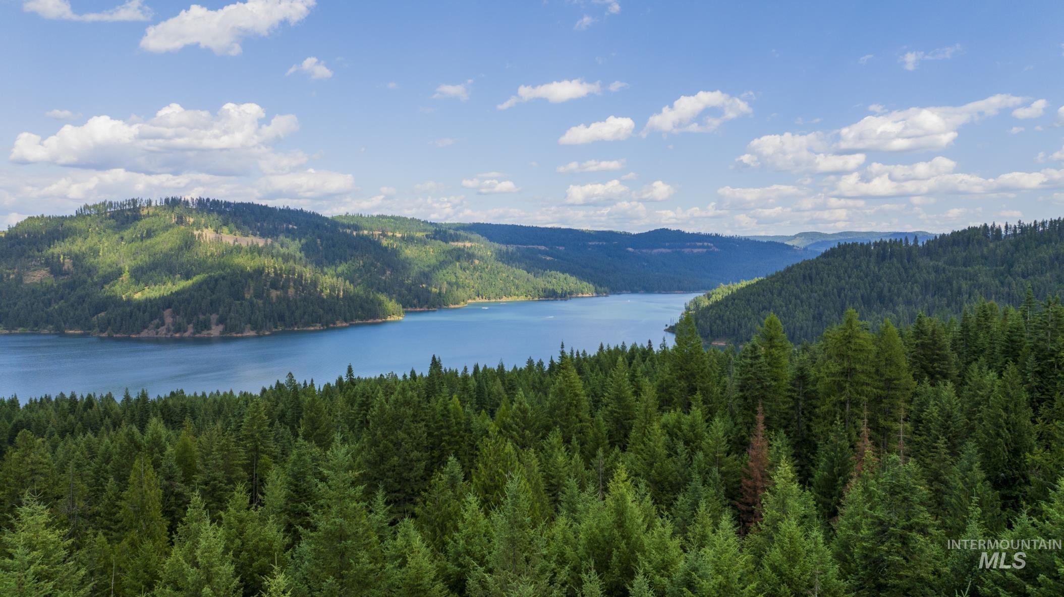 7362 S Dicks Creek Rd, Kendrick, Idaho 83537, Land For Sale, Price $289,900,MLS 98990019