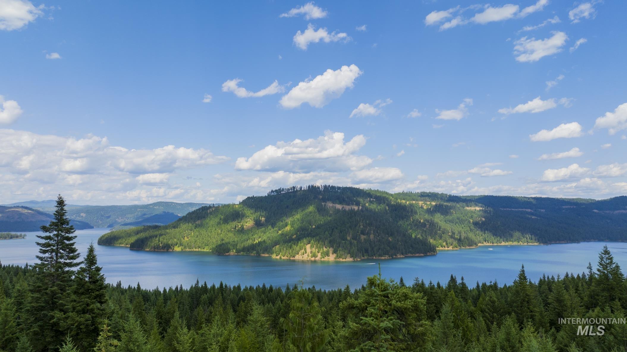 7362 S Dicks Creek Rd, Kendrick, Idaho 83537, Land For Sale, Price $289,900,MLS 98990019
