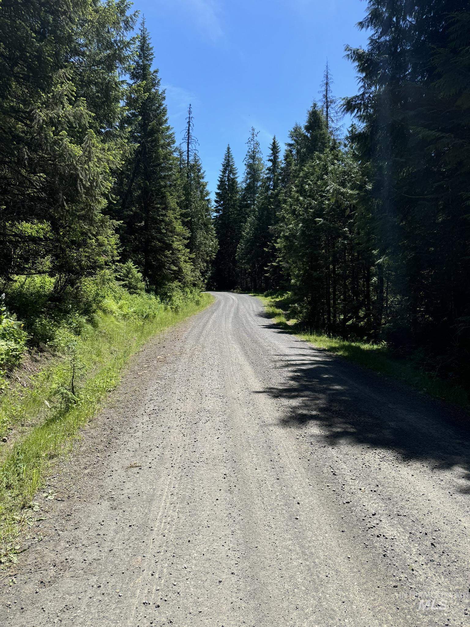 7362 S Dicks Creek Rd, Kendrick, Idaho 83537, Land For Sale, Price $289,900,MLS 98990019