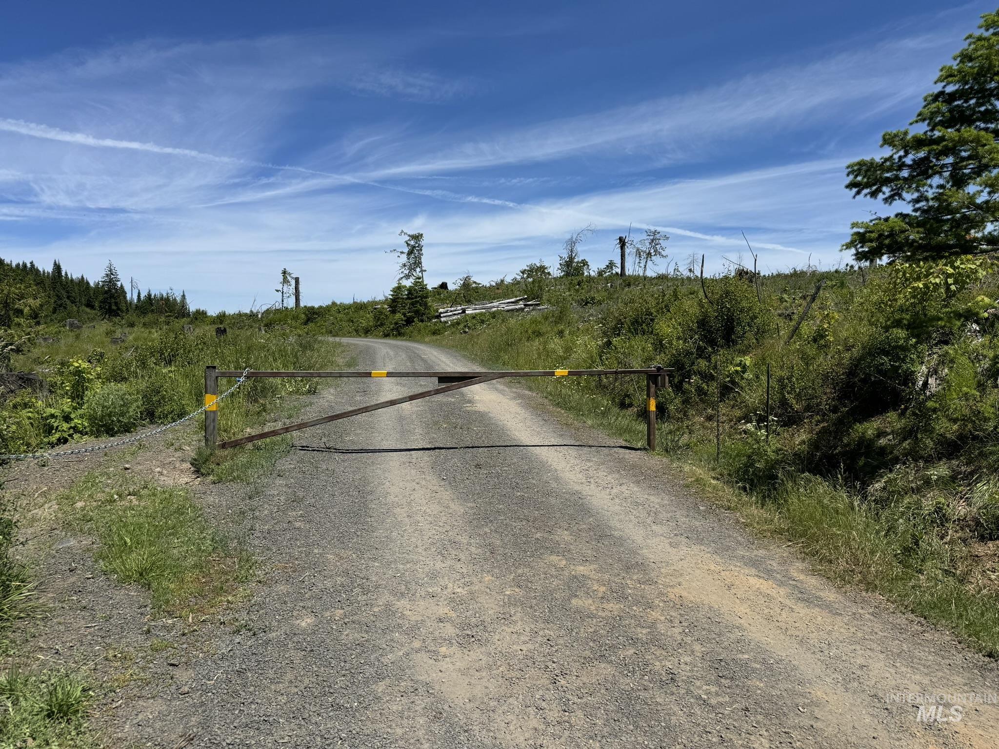 7362 S Dicks Creek Rd, Kendrick, Idaho 83537, Land For Sale, Price $289,900,MLS 98990019