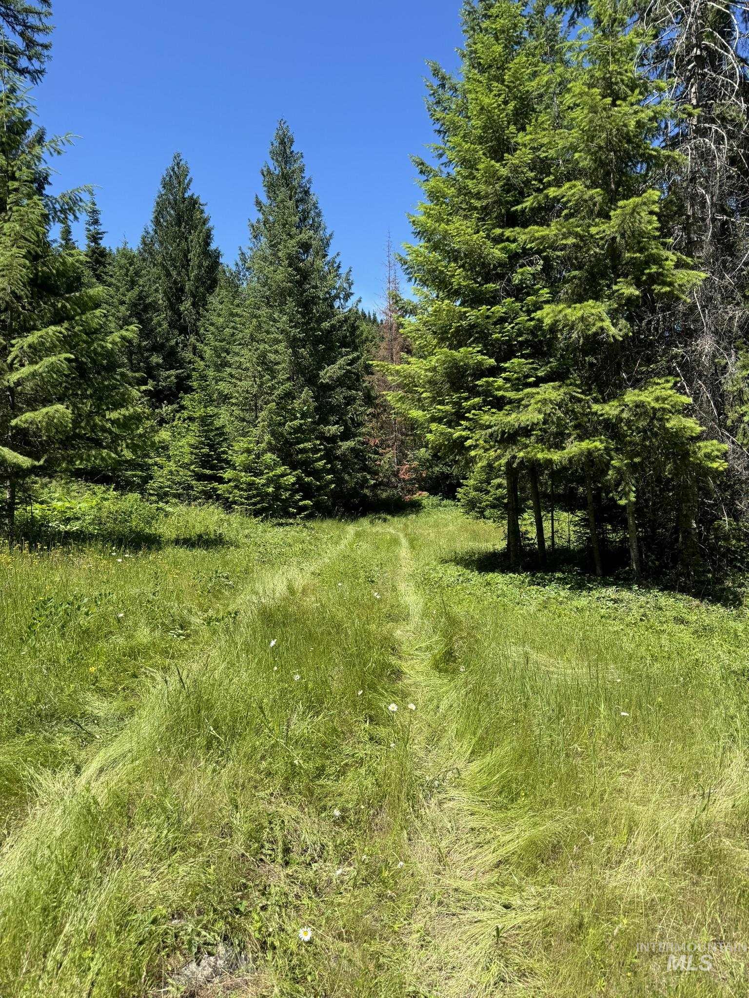 7362 S Dicks Creek Rd, Kendrick, Idaho 83537, Land For Sale, Price $289,900,MLS 98990019