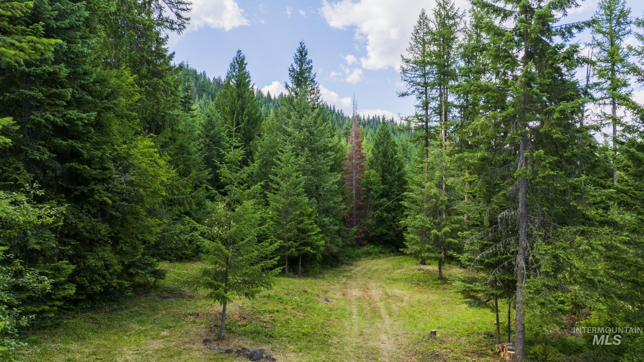 7362 S Dicks Creek Rd, Kendrick, Idaho 83537, Land For Sale, Price $289,900,MLS 98990019