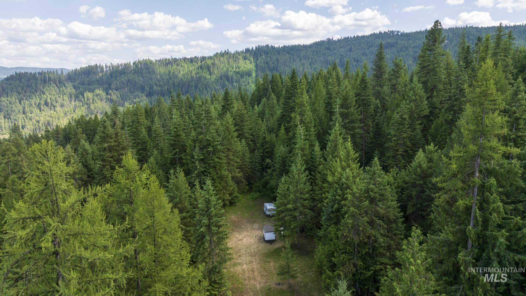 7362 S Dicks Creek Rd, Kendrick, Idaho 83537, Land For Sale, Price $289,900,MLS 98990019