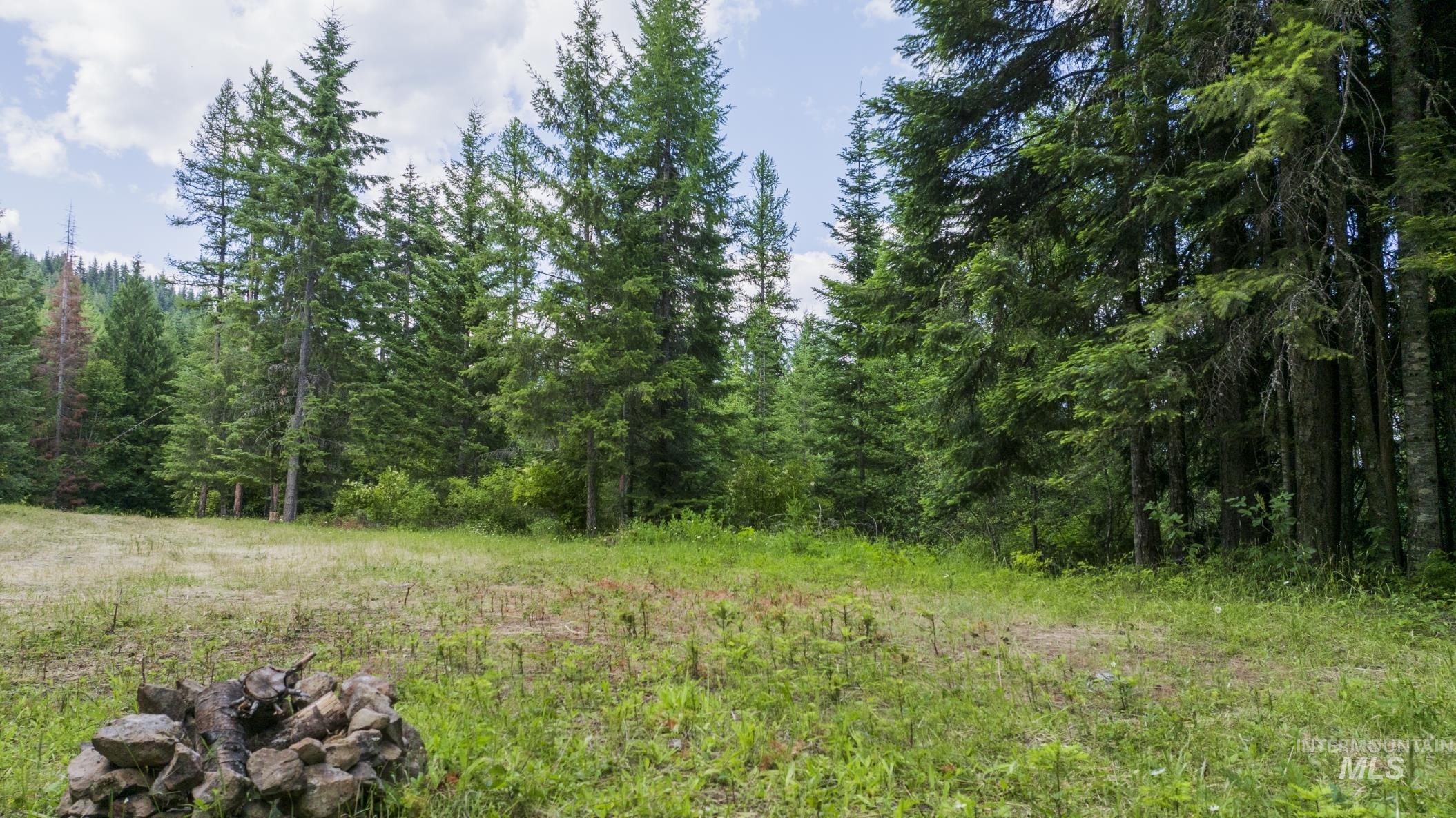 7362 S Dicks Creek Rd, Kendrick, Idaho 83537, Land For Sale, Price $289,900,MLS 98990019