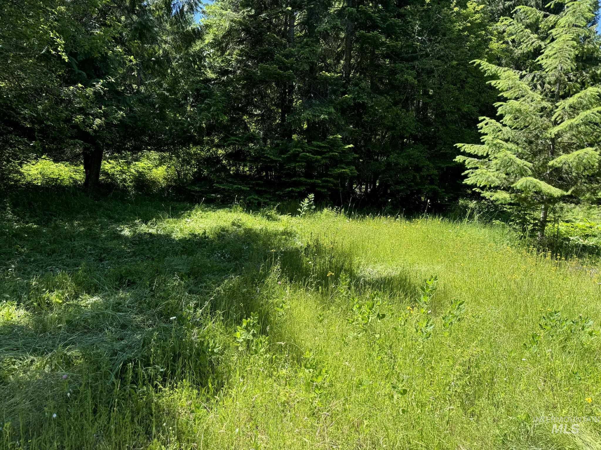7362 S Dicks Creek Rd, Kendrick, Idaho 83537, Land For Sale, Price $289,900,MLS 98990019