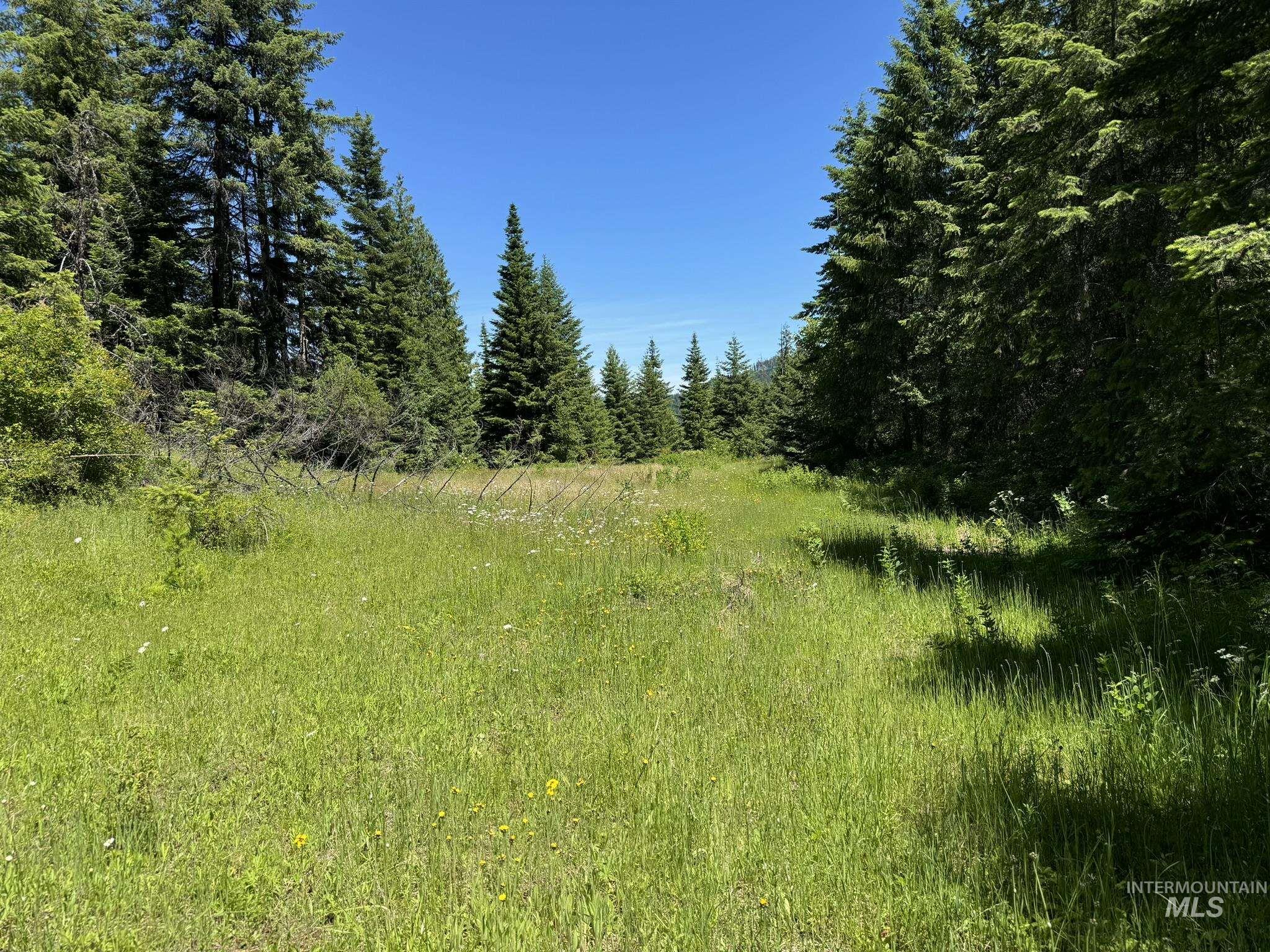 7362 S Dicks Creek Rd, Kendrick, Idaho 83537, Land For Sale, Price $289,900,MLS 98990019