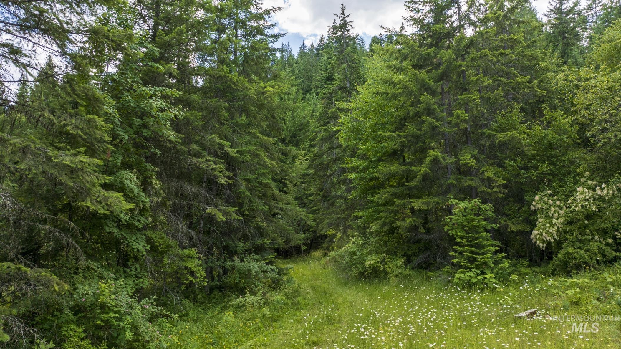 7362 S Dicks Creek Rd, Kendrick, Idaho 83537, Land For Sale, Price $289,900,MLS 98990019