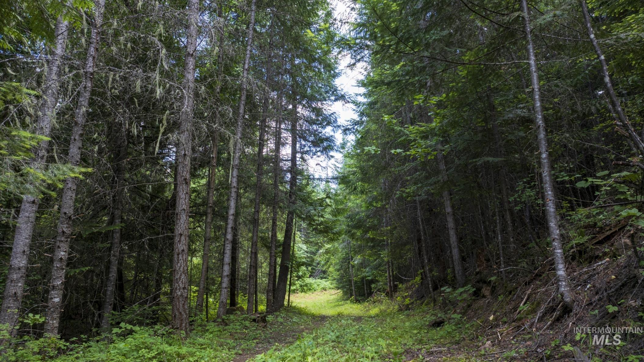 7362 S Dicks Creek Rd, Kendrick, Idaho 83537, Land For Sale, Price $289,900,MLS 98990019