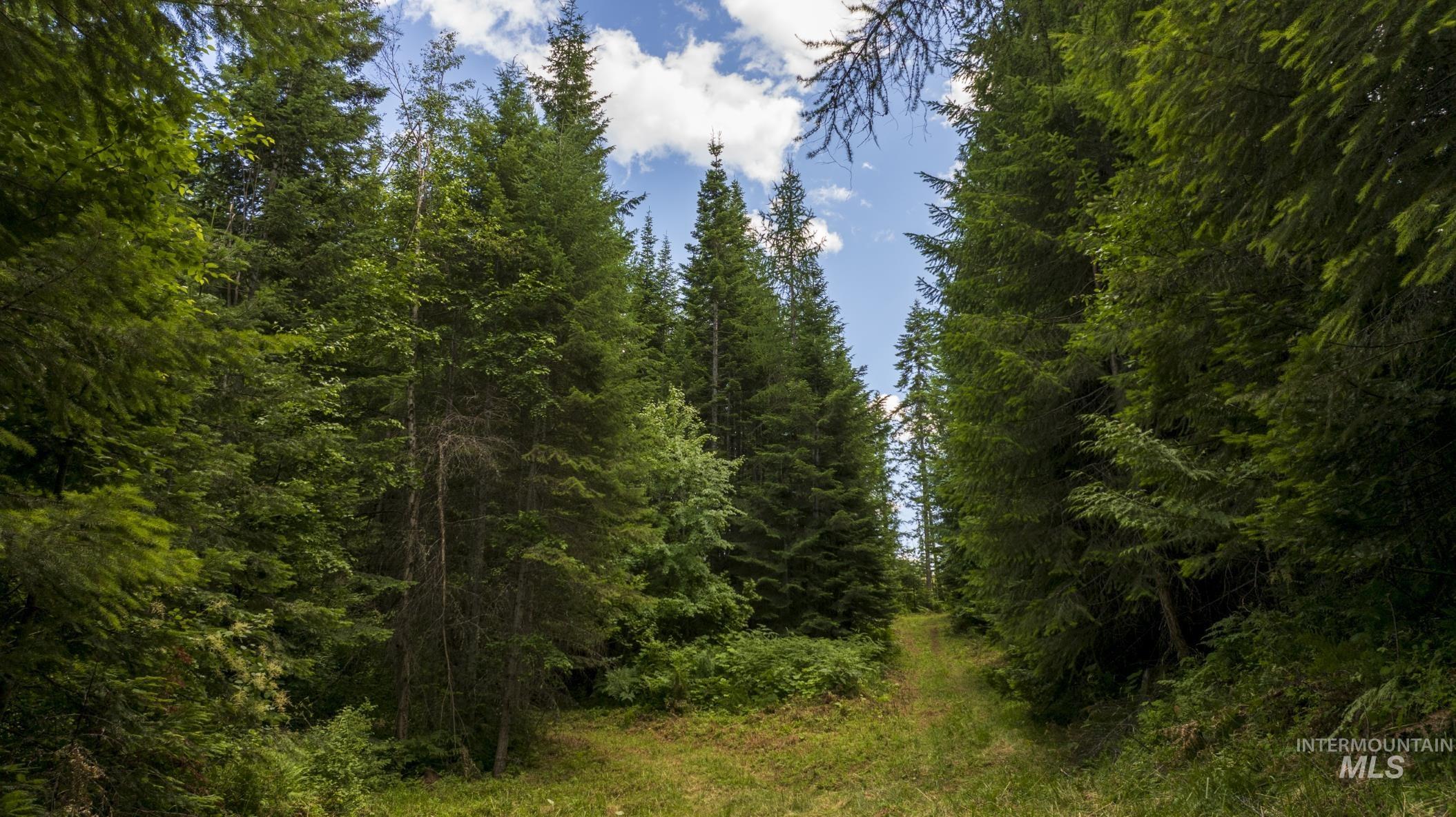 7362 S Dicks Creek Rd, Kendrick, Idaho 83537, Land For Sale, Price $289,900,MLS 98990019