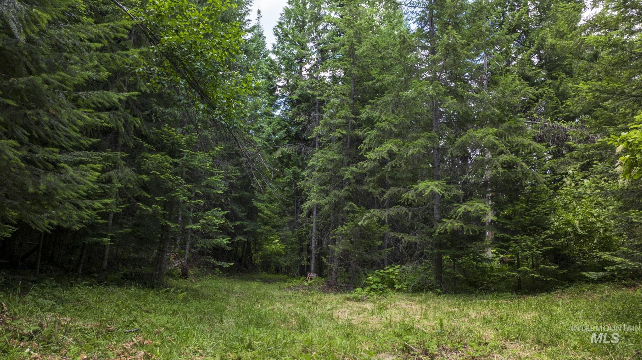 7362 S Dicks Creek Rd, Kendrick, Idaho 83537, Land For Sale, Price $289,900,MLS 98990019