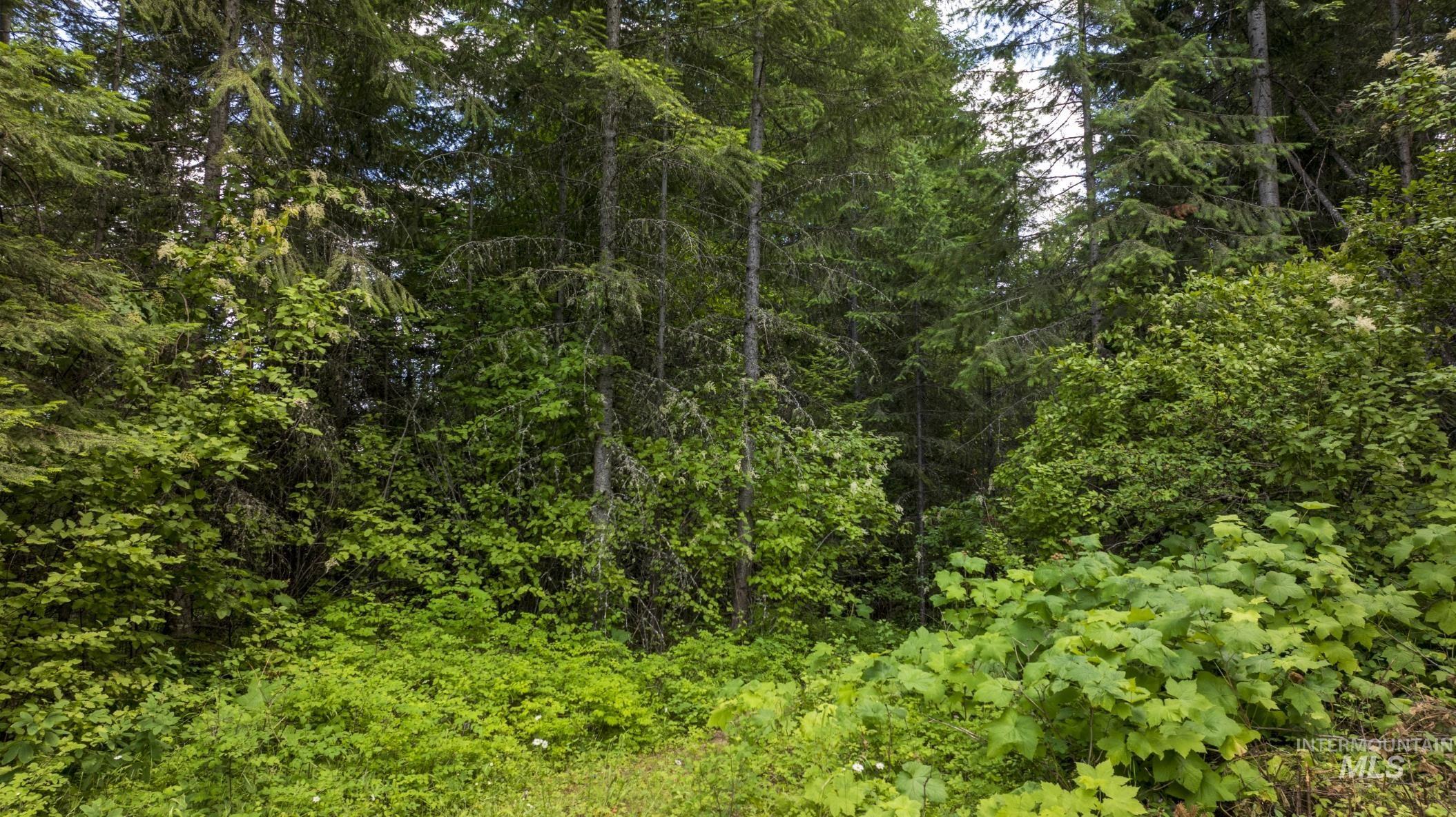 7362 S Dicks Creek Rd, Kendrick, Idaho 83537, Land For Sale, Price $289,900,MLS 98990019