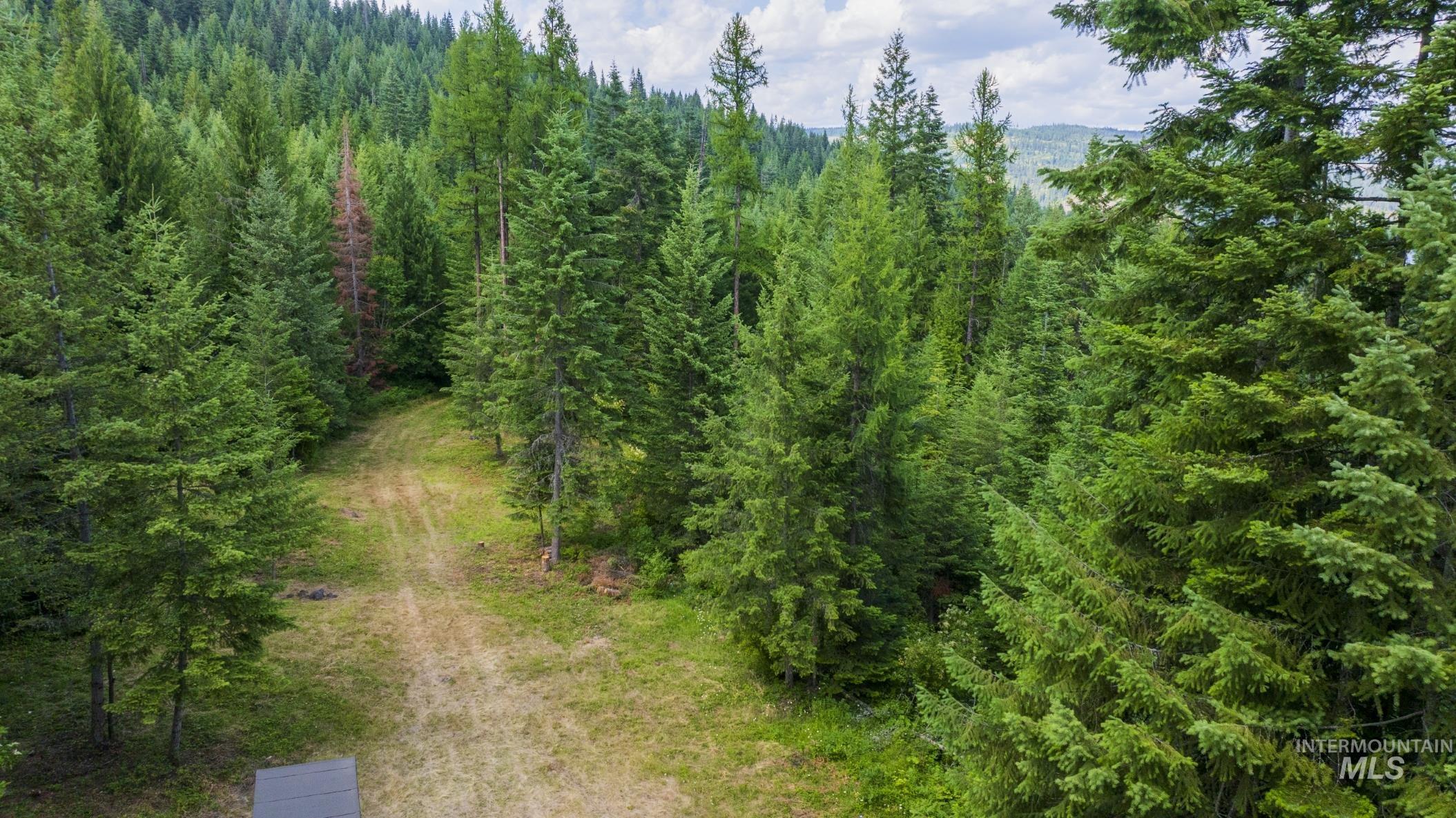 7362 S Dicks Creek Rd, Kendrick, Idaho 83537, Land For Sale, Price $289,900,MLS 98990019