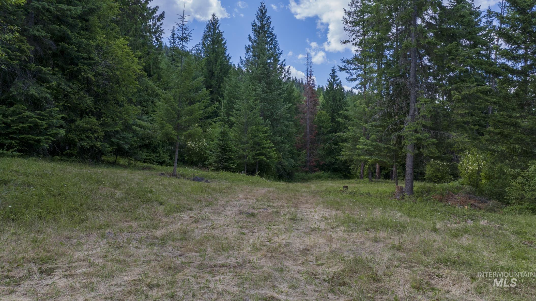 7362 S Dicks Creek Rd, Kendrick, Idaho 83537, Land For Sale, Price $289,900,MLS 98990019