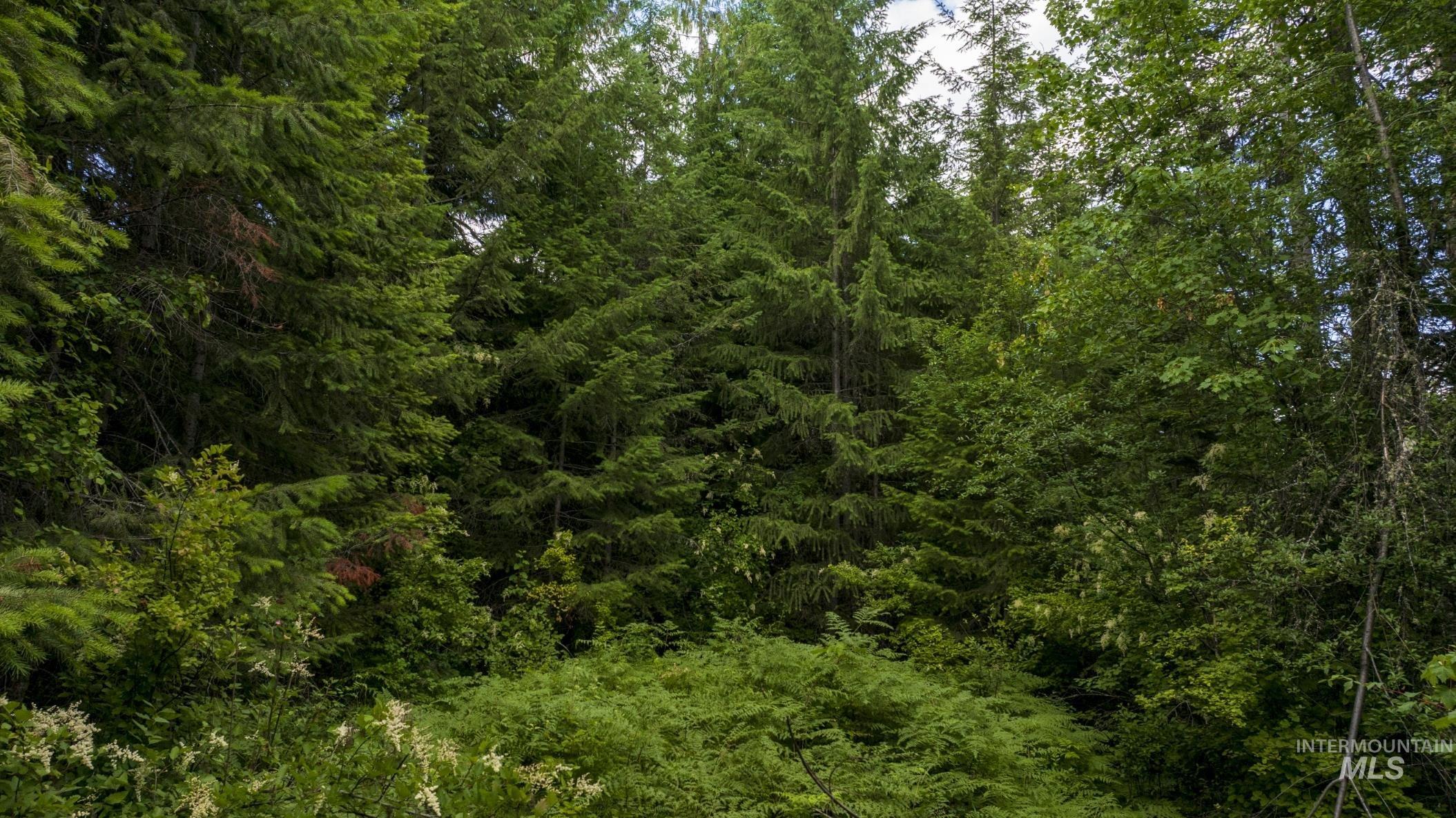 7362 S Dicks Creek Rd, Kendrick, Idaho 83537, Land For Sale, Price $289,900,MLS 98990019