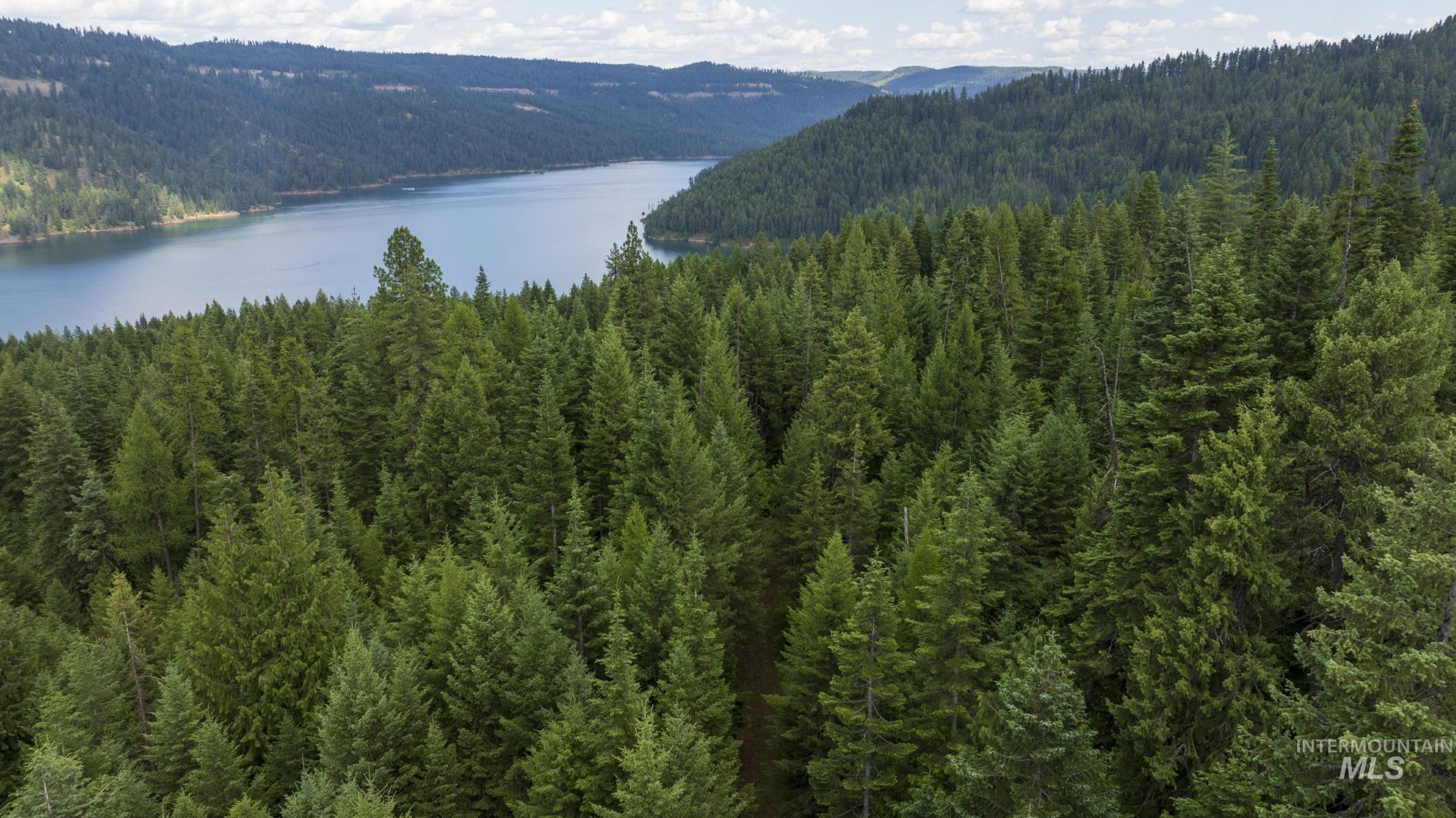 7362 S Dicks Creek Rd, Kendrick, Idaho 83537, Land For Sale, Price $289,900,MLS 98990019