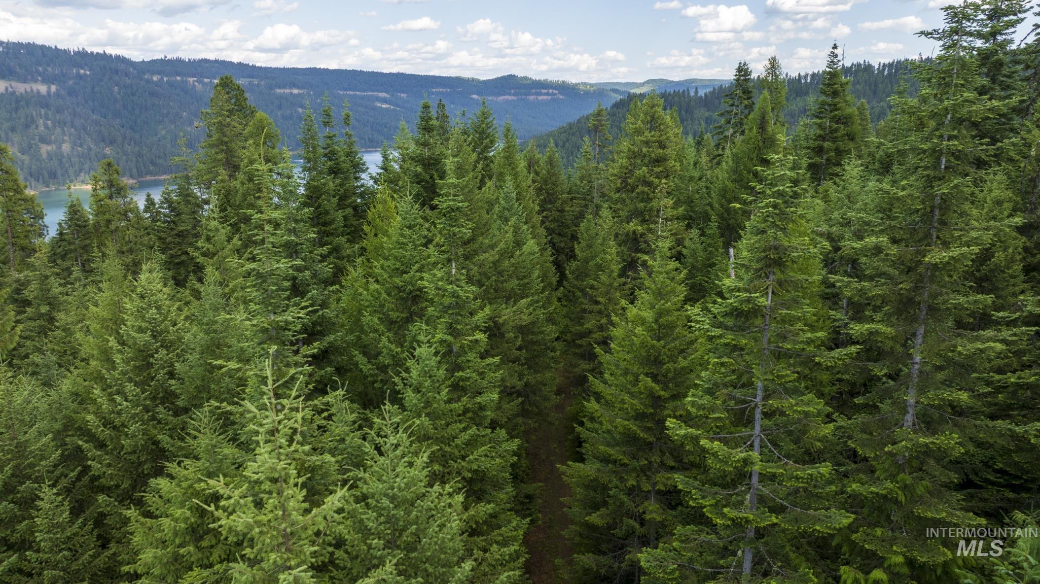 7362 S Dicks Creek Rd, Kendrick, Idaho 83537, Land For Sale, Price $289,900,MLS 98990019