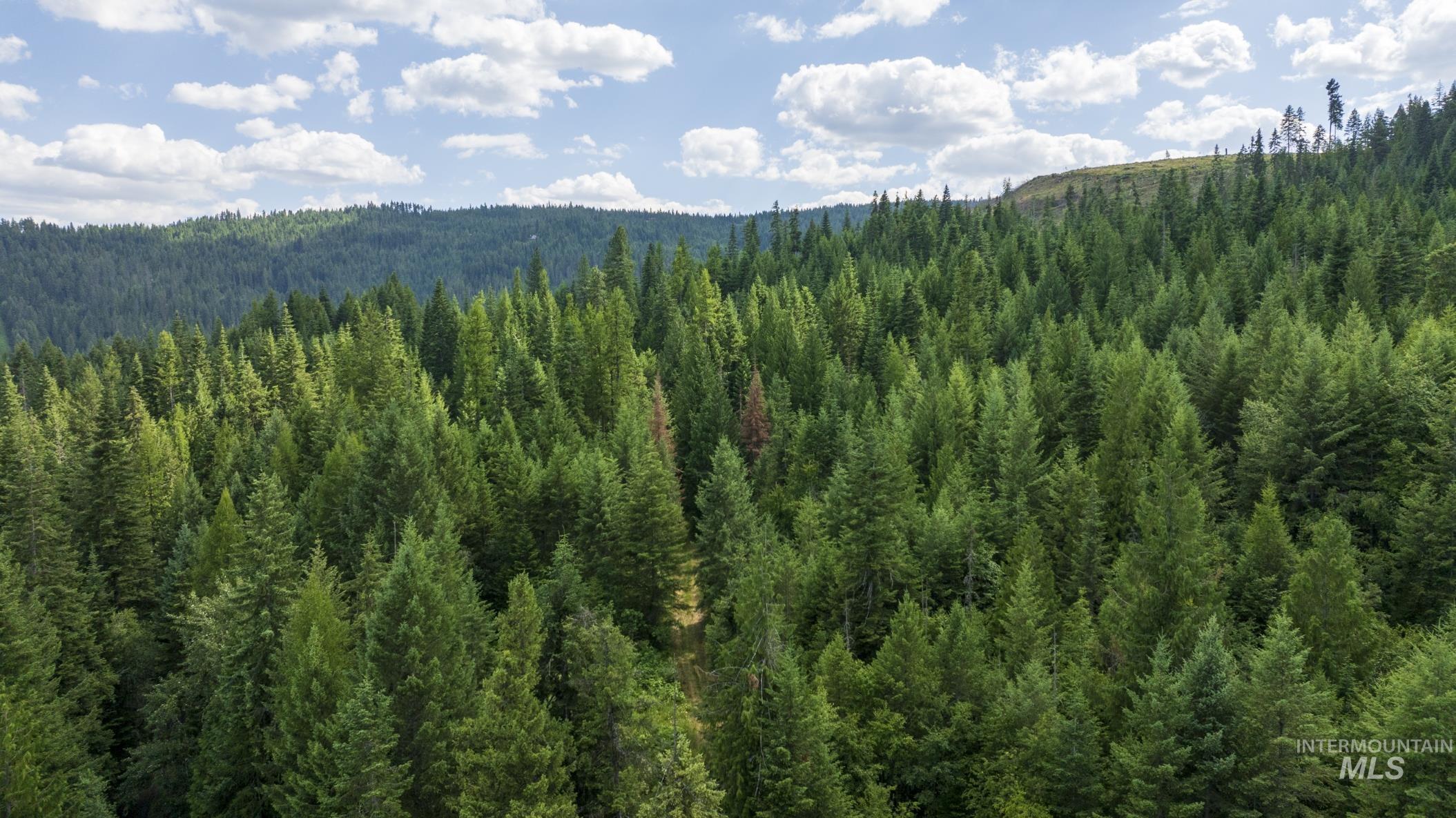 7362 S Dicks Creek Rd, Kendrick, Idaho 83537, Land For Sale, Price $289,900,MLS 98990019