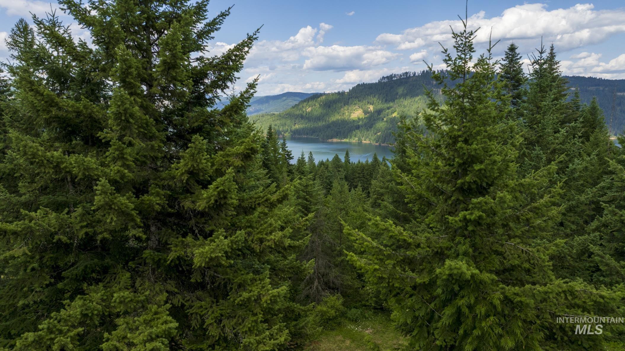 7362 S Dicks Creek Rd, Kendrick, Idaho 83537, Land For Sale, Price $289,900,MLS 98990019